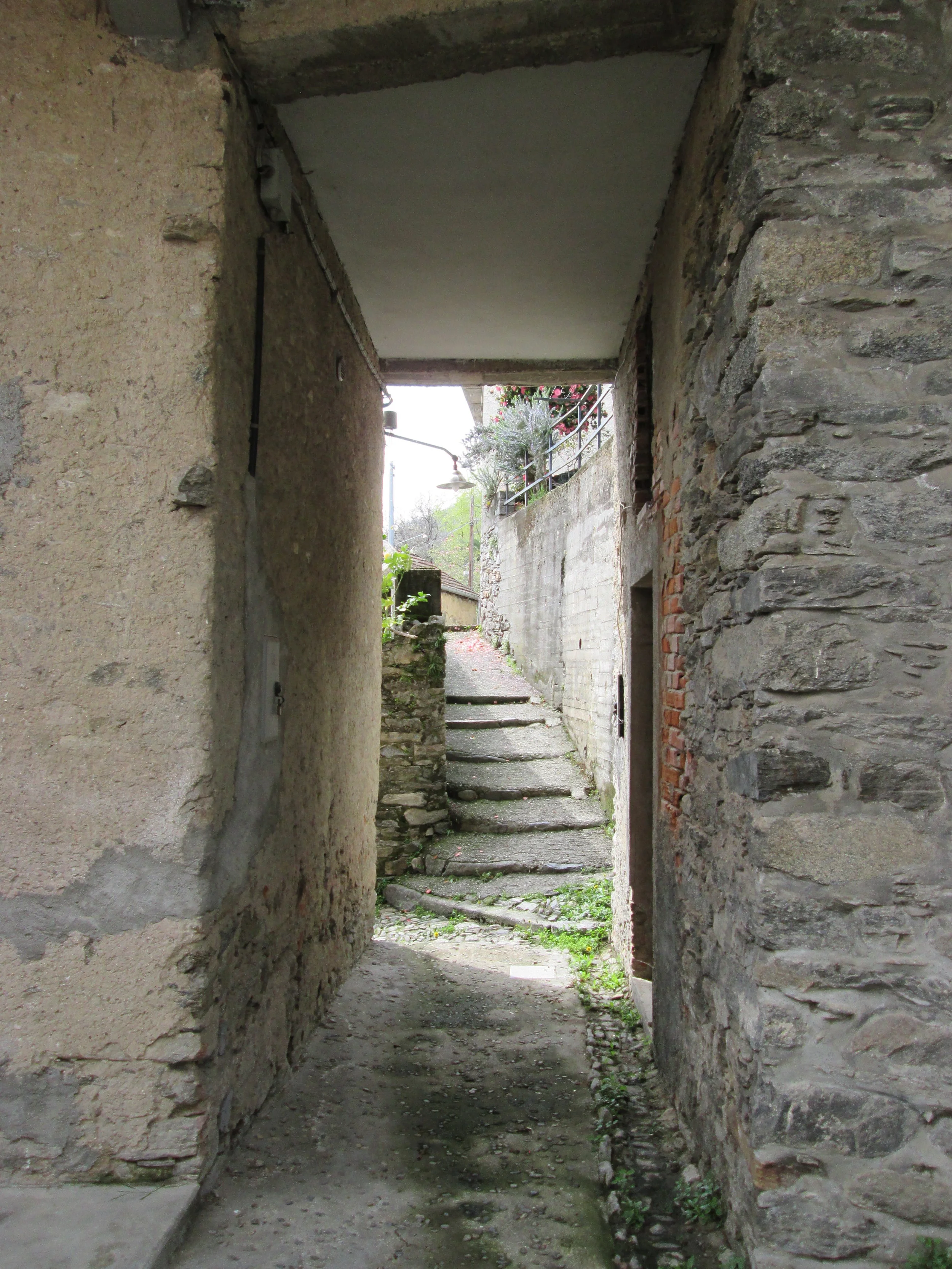 IMG_1845.JPG