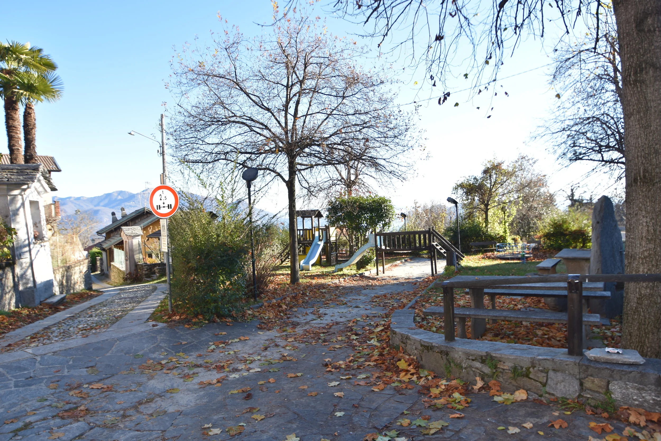 PARTICOLARI VIGGIONA  (2).JPG