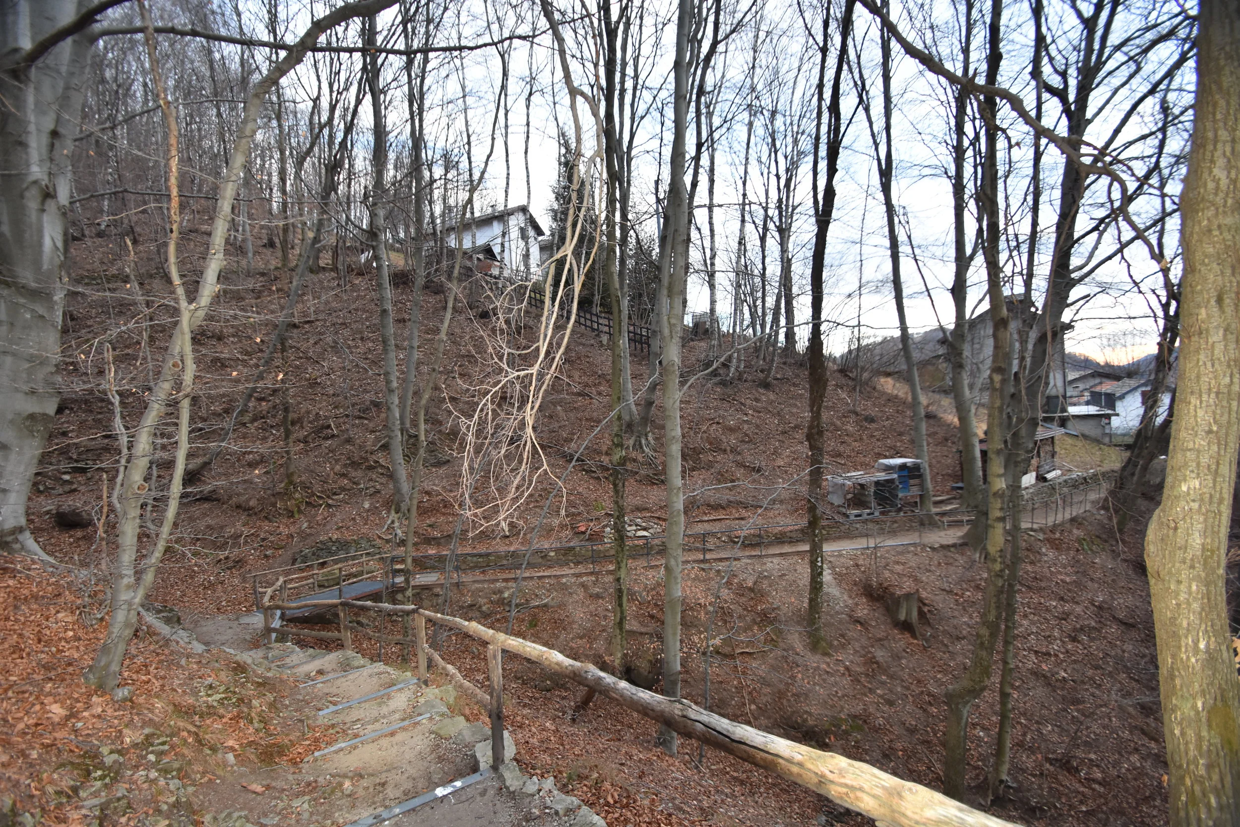 RV022 AURANO POLLI RENATO  (2).JPG