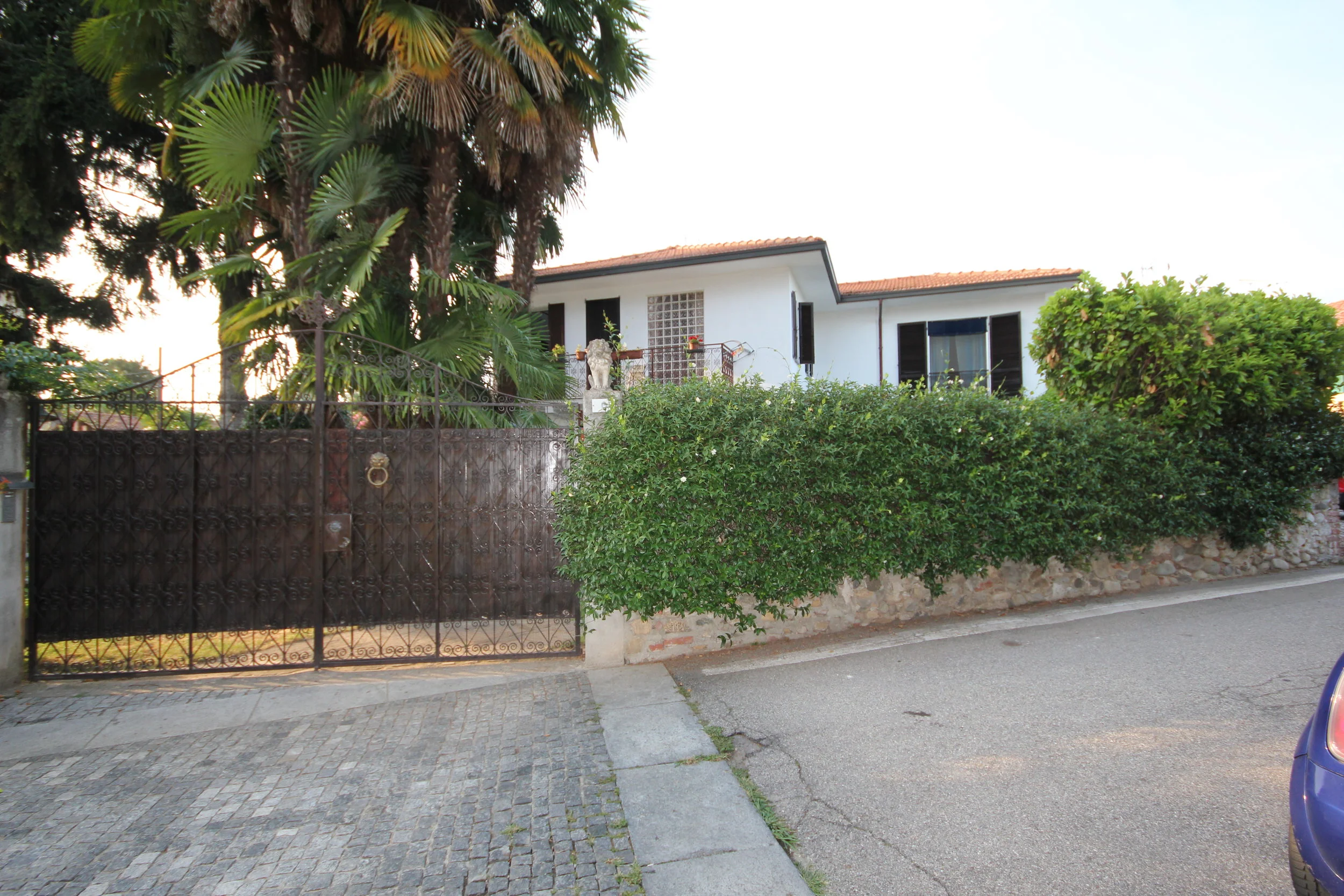 FOTOGRAFIE PICECI (7).JPG