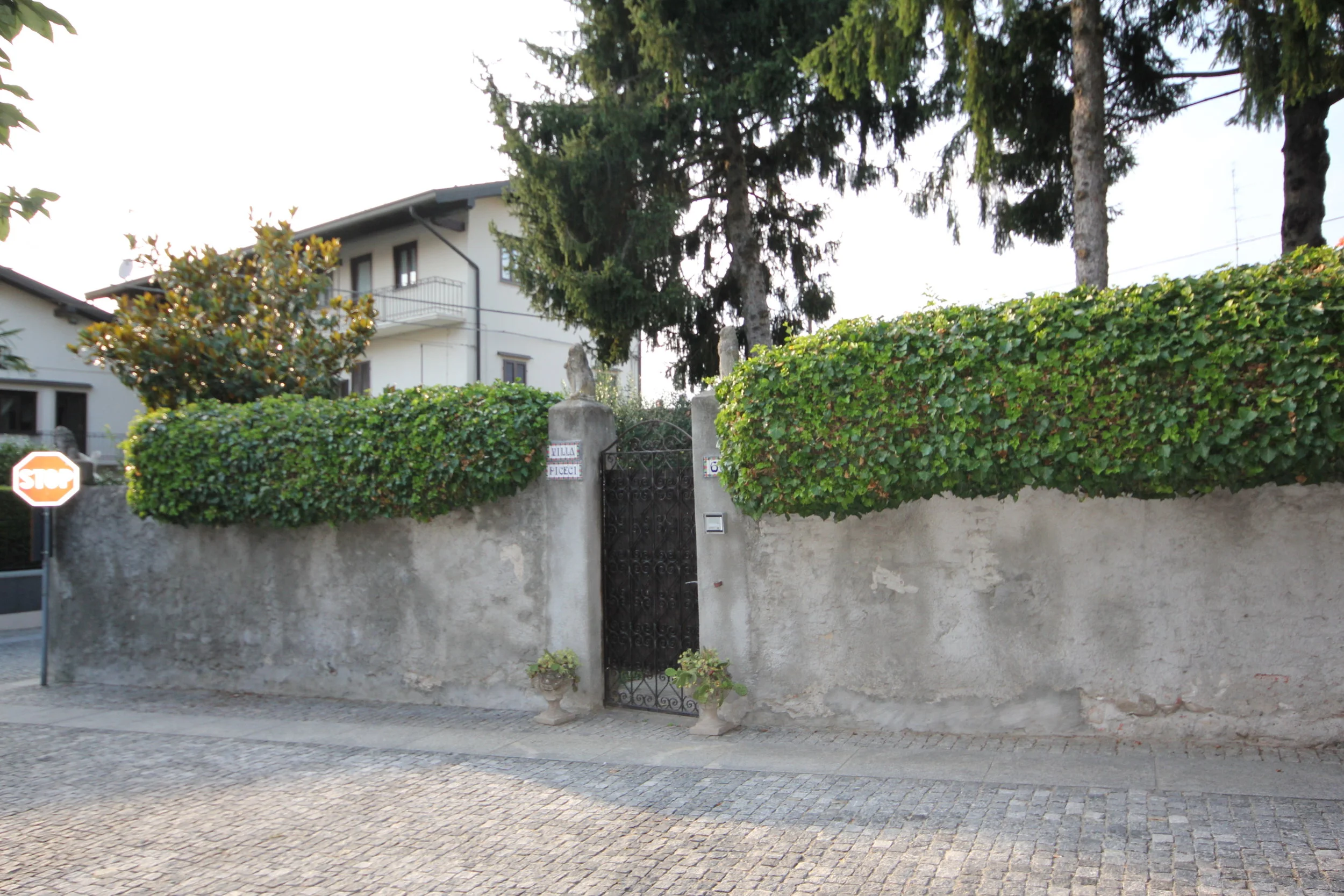 FOTOGRAFIE PICECI (4).JPG