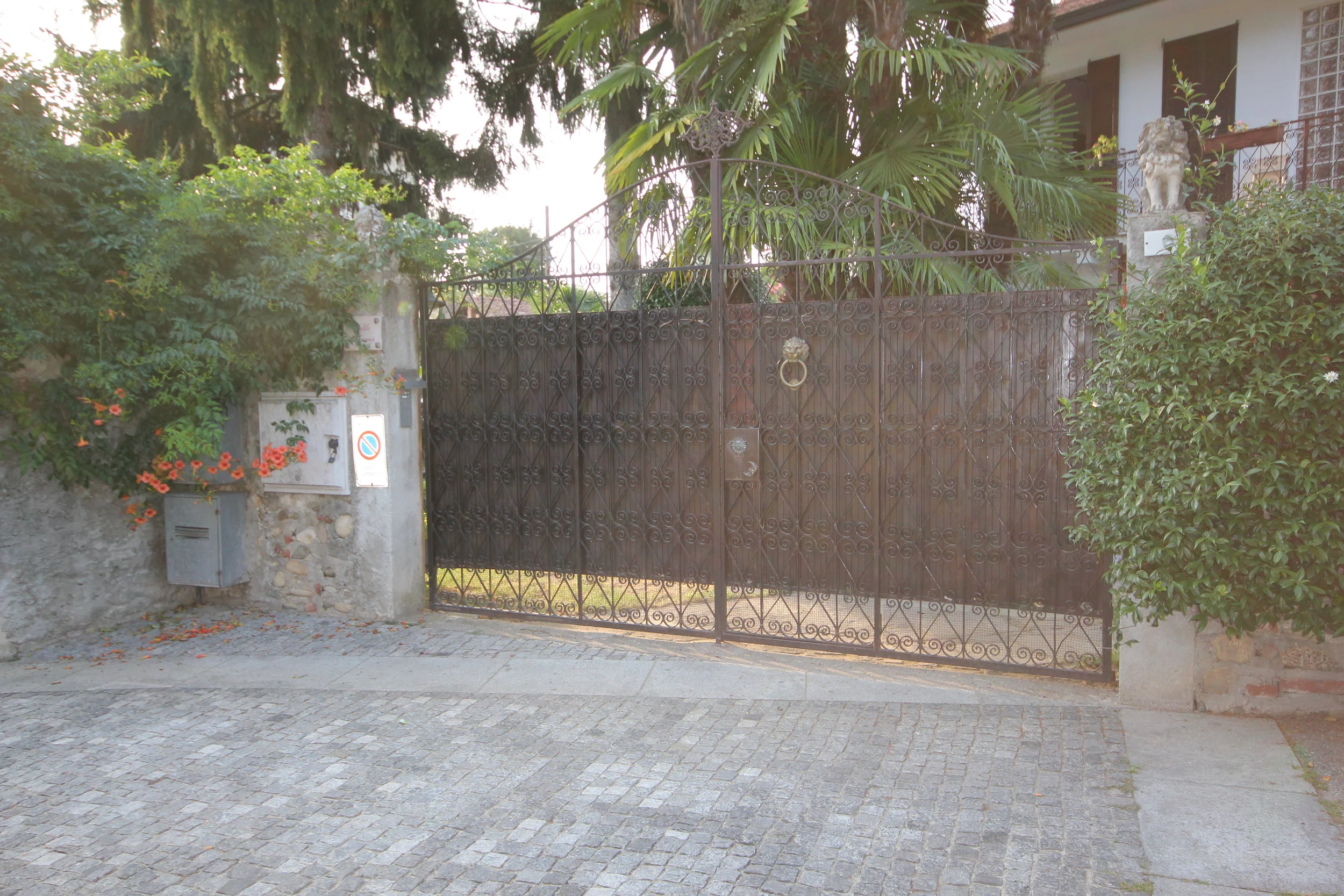 FOTOGRAFIE PICECI (2).JPG