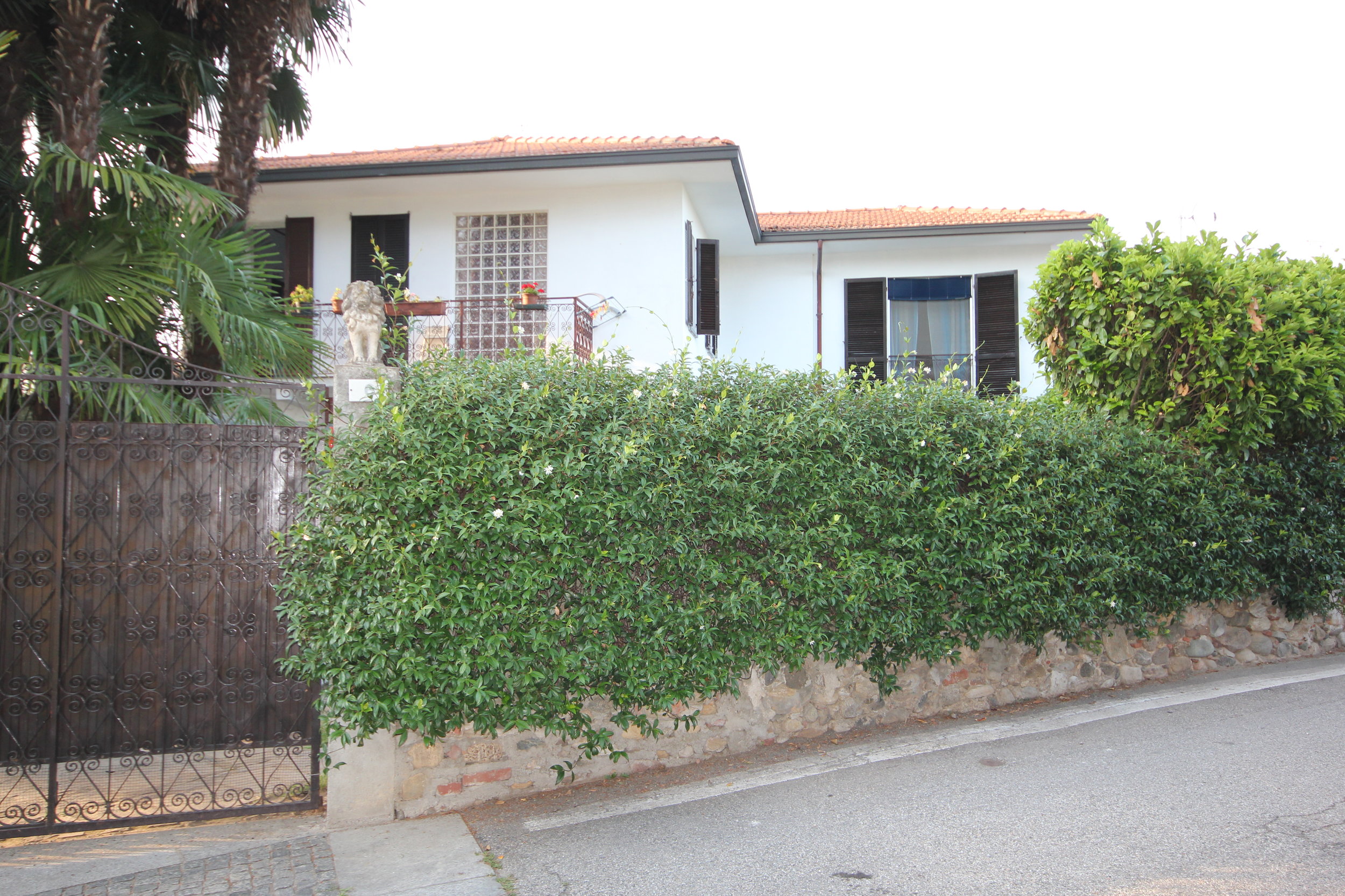 FOTOGRAFIE PICECI (6).JPG