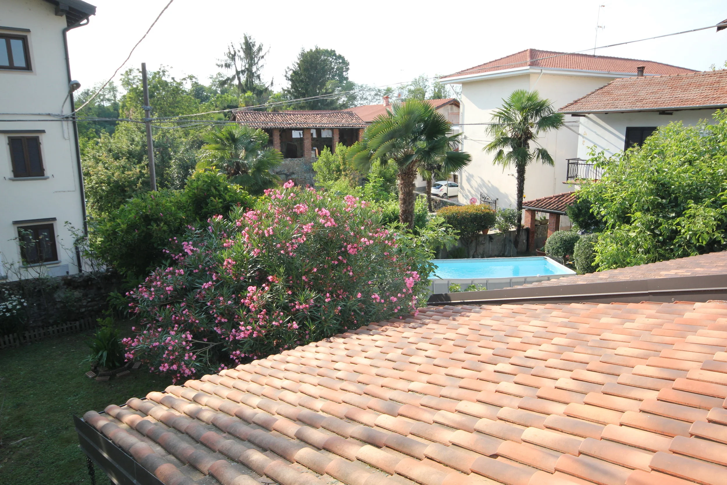 FOTOGRAFIE PICECI (59).JPG