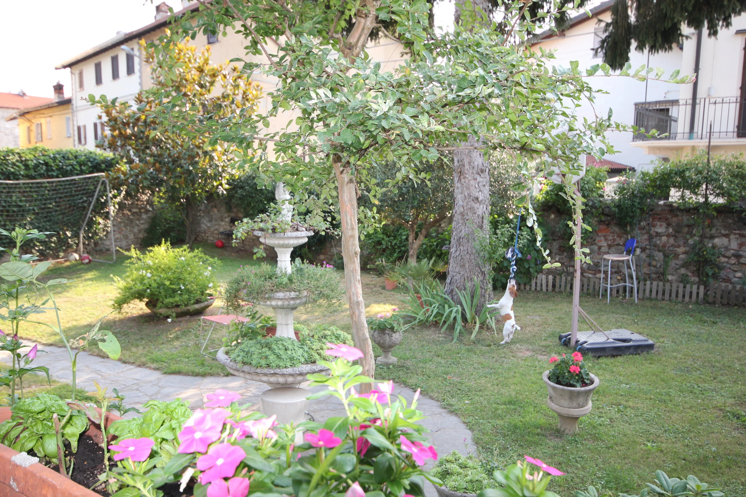 FOTOGRAFIE PICECI (93).JPG