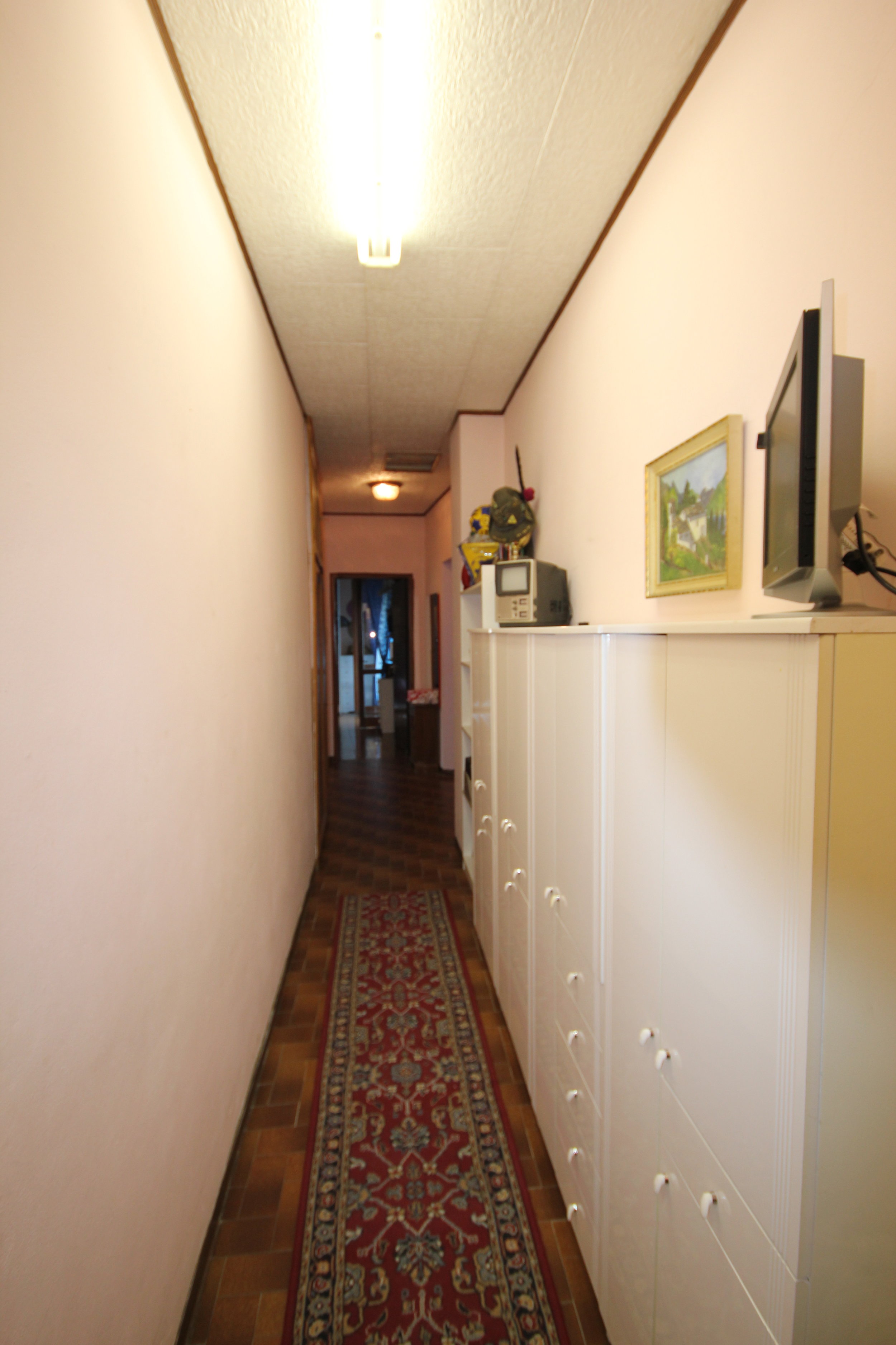 FOTOGRAFIE PICECI (43).JPG