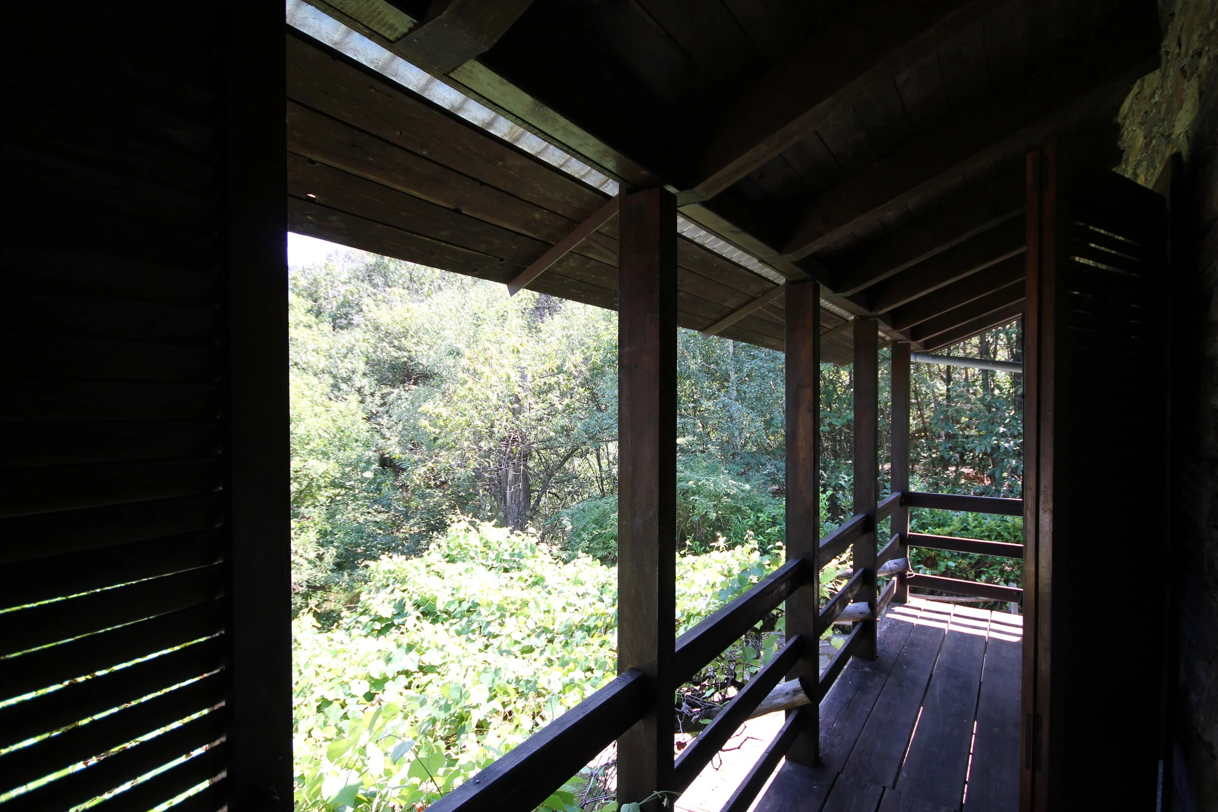 FOTOGRAFIE OMPIO (2).JPG