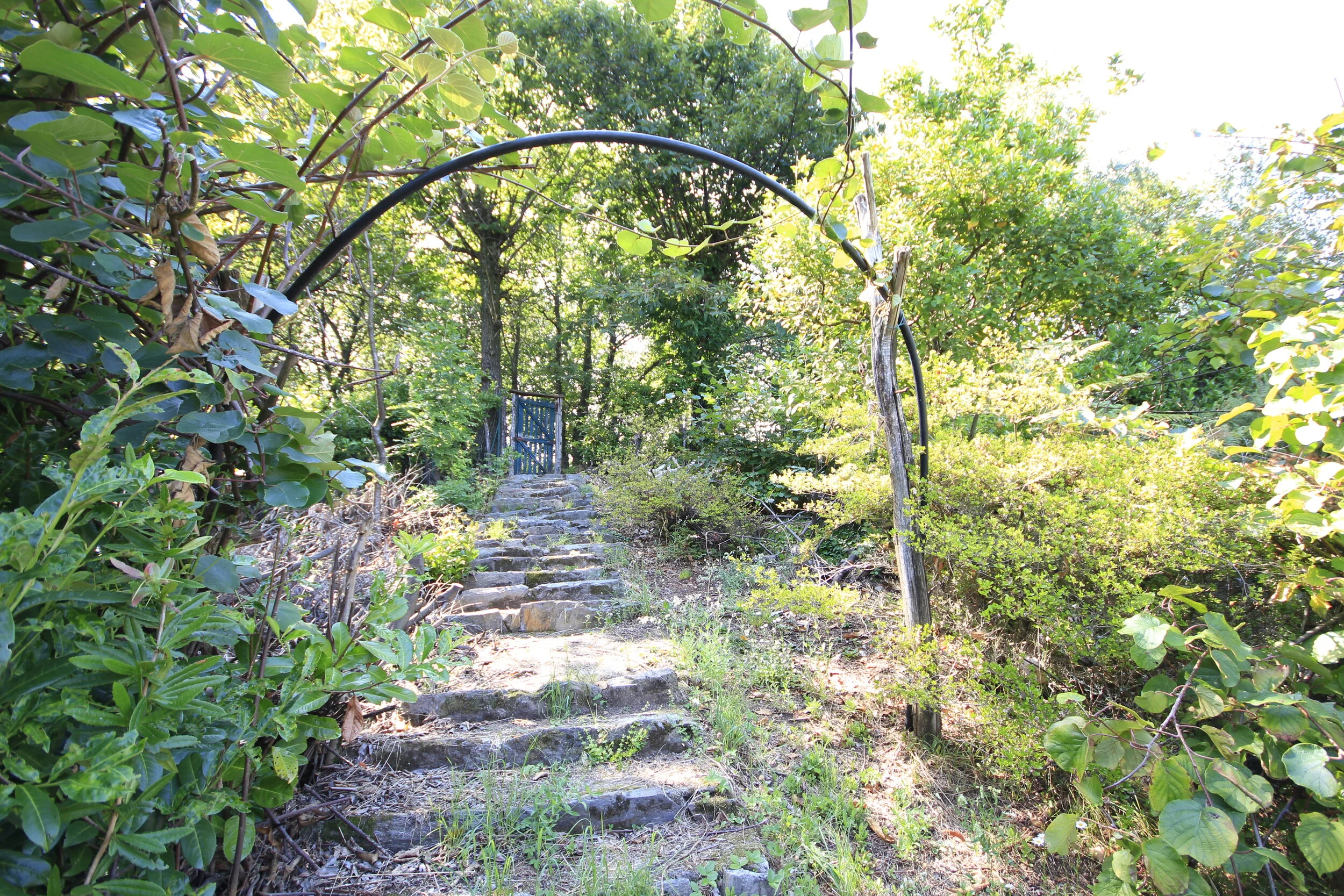 FOTOGRAFIE OMPIO (40).JPG