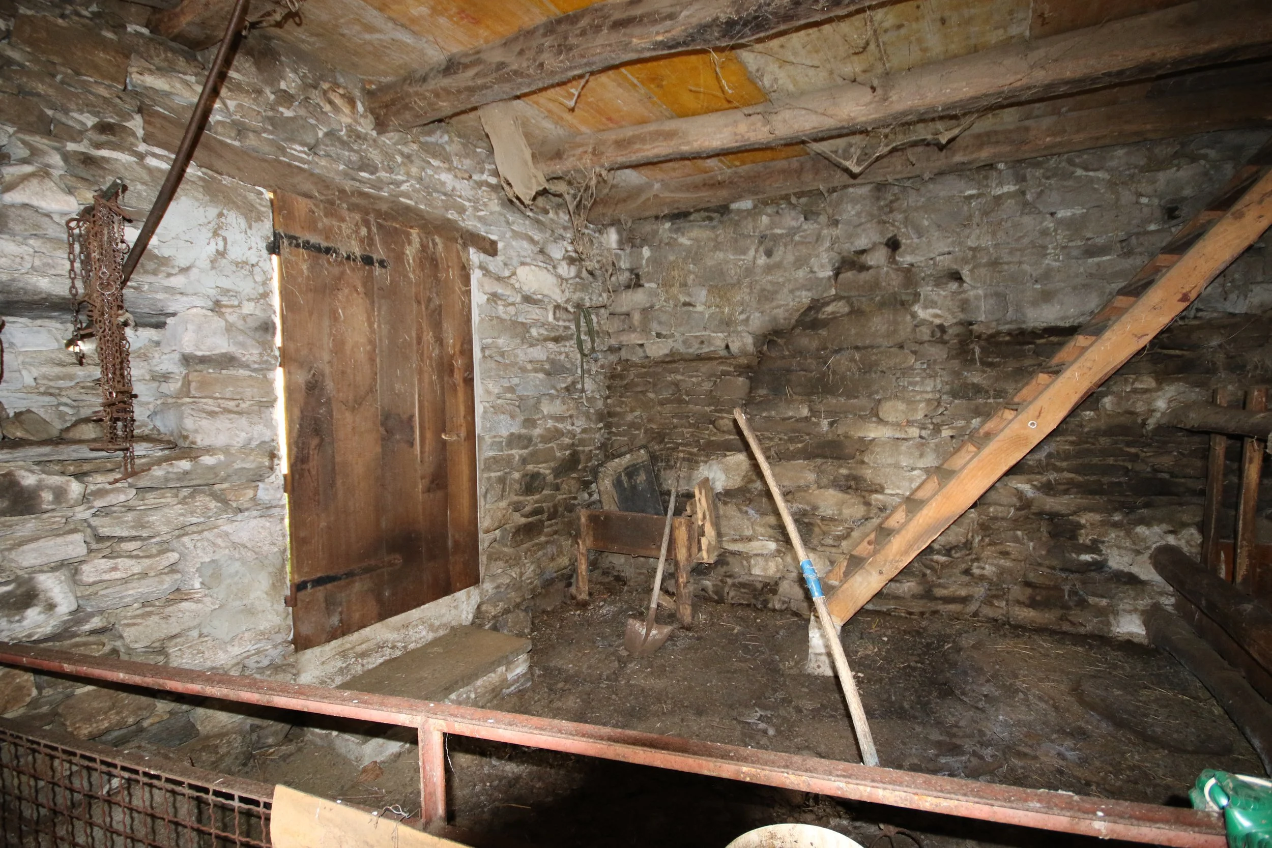 FOTO DONEGO GIORDANO (61).JPG