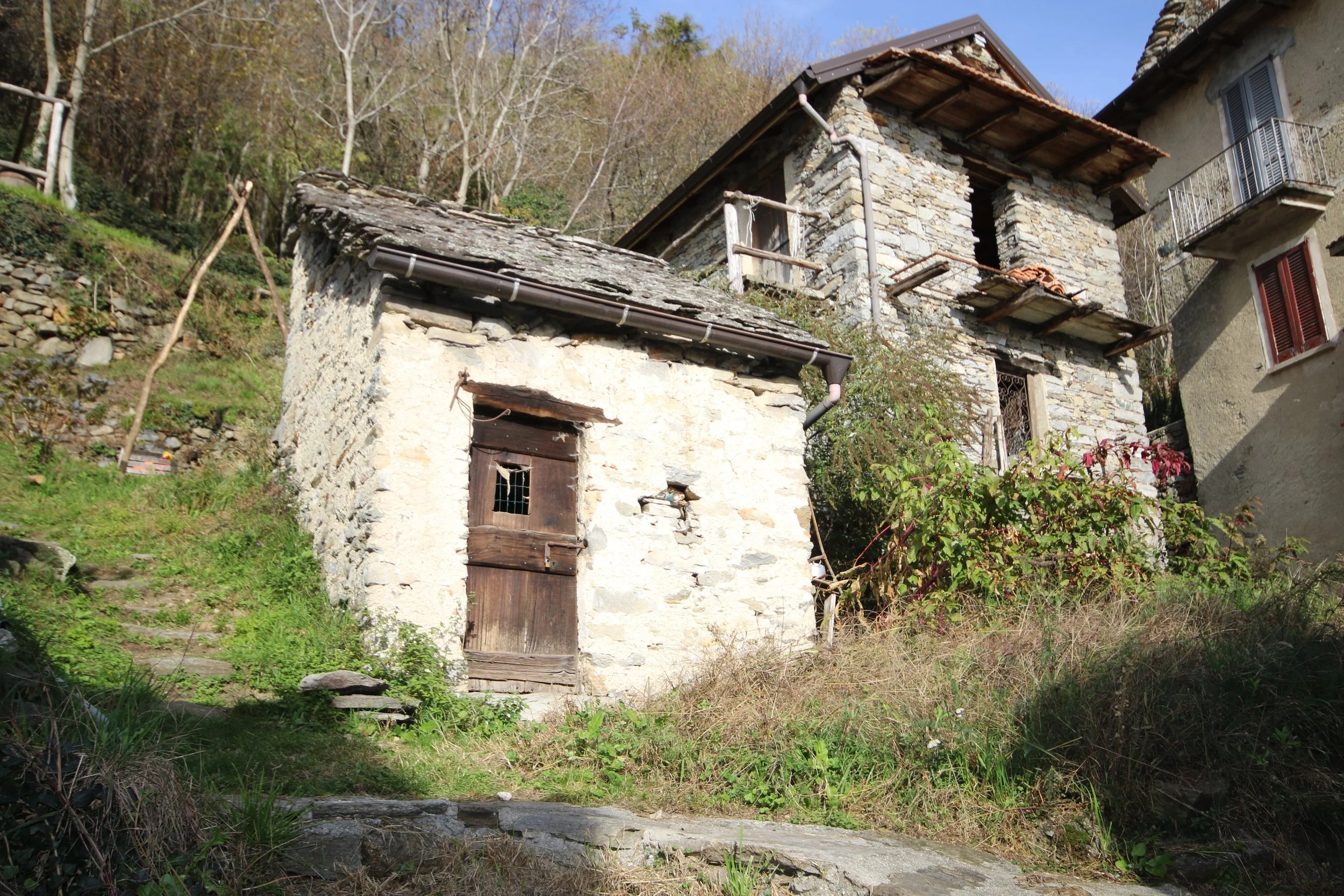 RB030 FOTO DONEGO (15).JPG