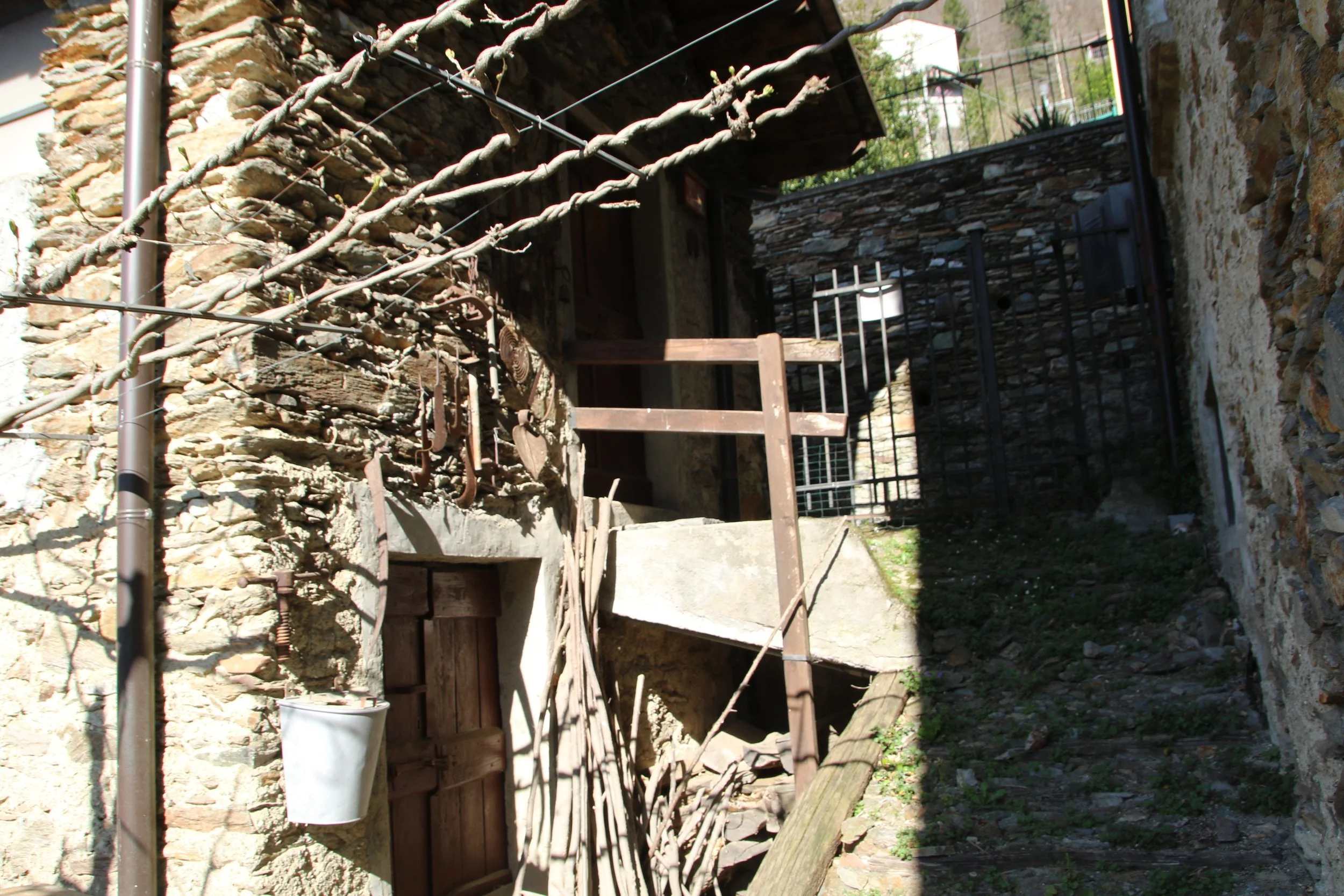 FOTOGRAFIE CAPREZZO (67).JPG