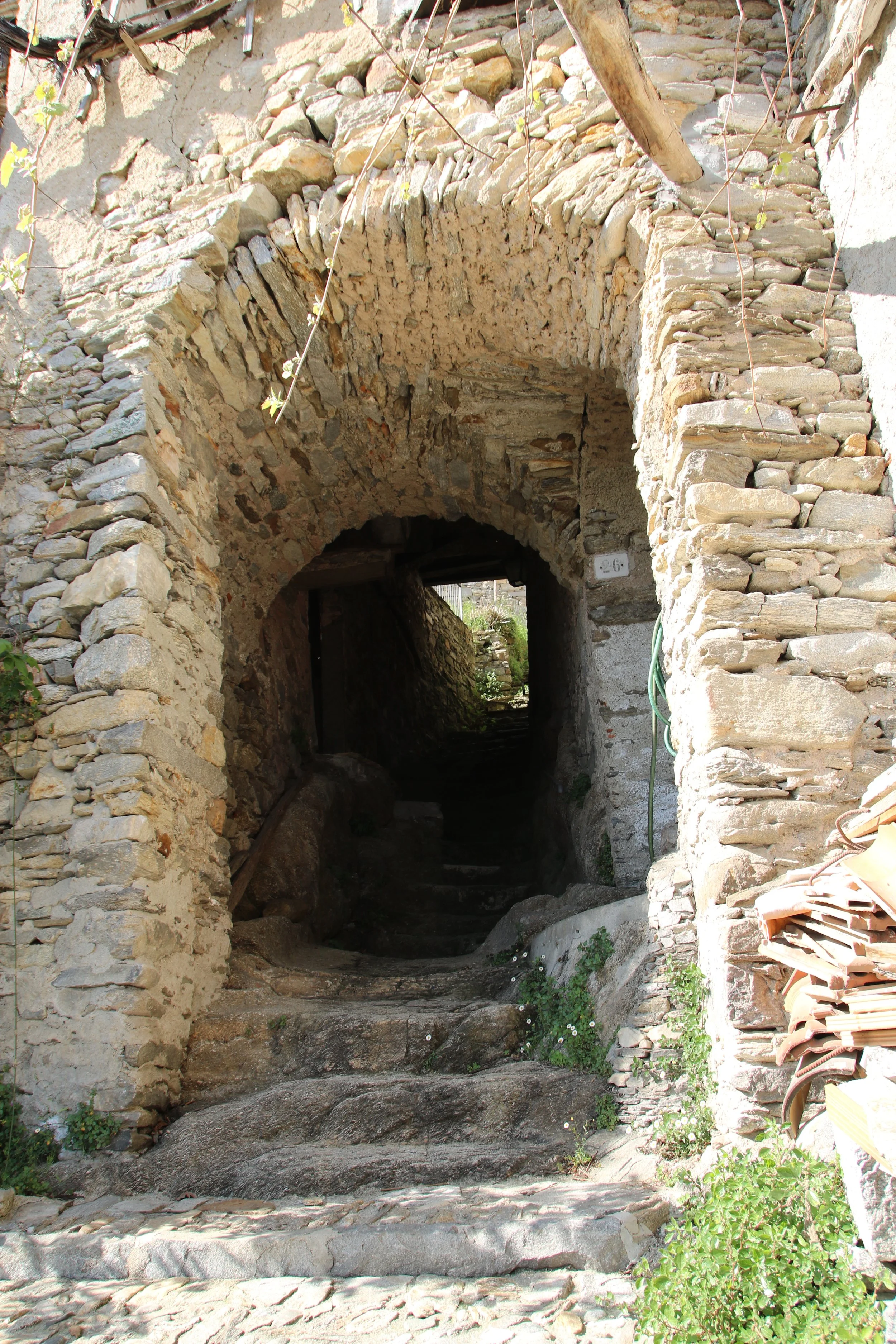 FOTO DONEGO (53).JPG