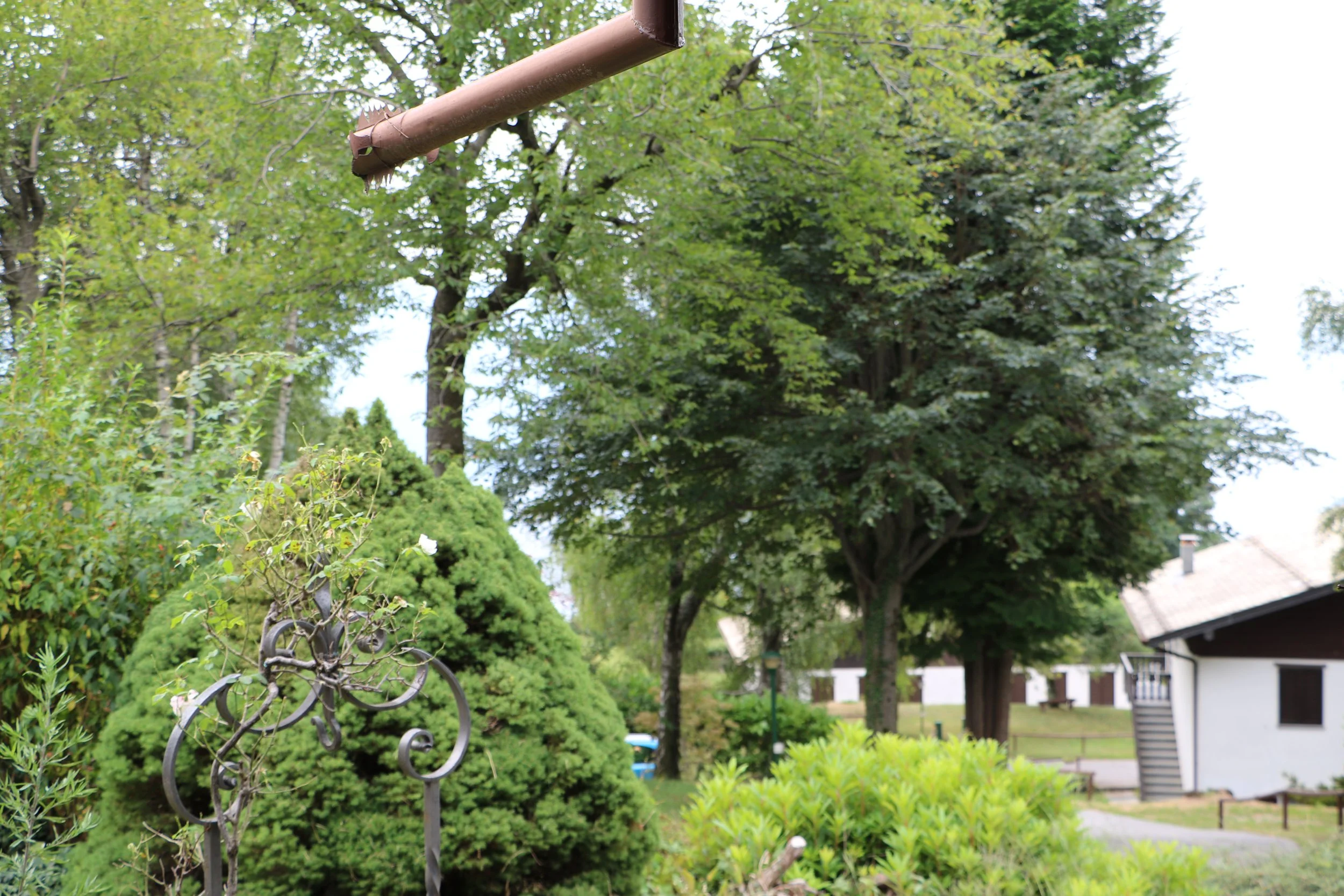 FOTO BETULLE ANNA (58).JPG