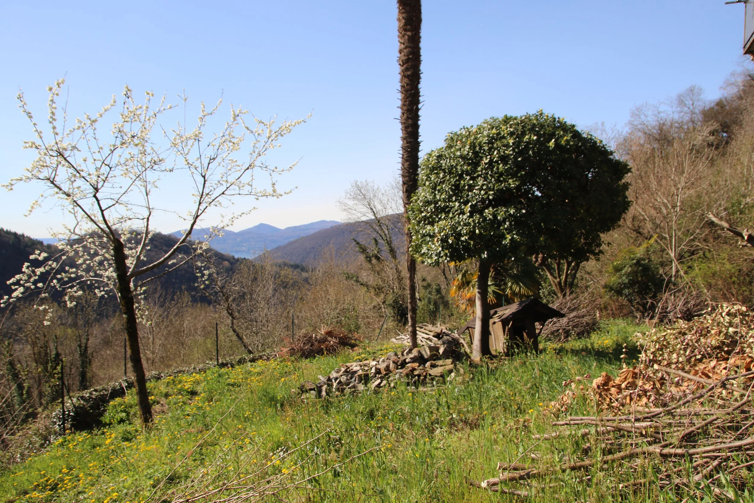 FOTOGRAFIE CAPREZZO (78).JPG