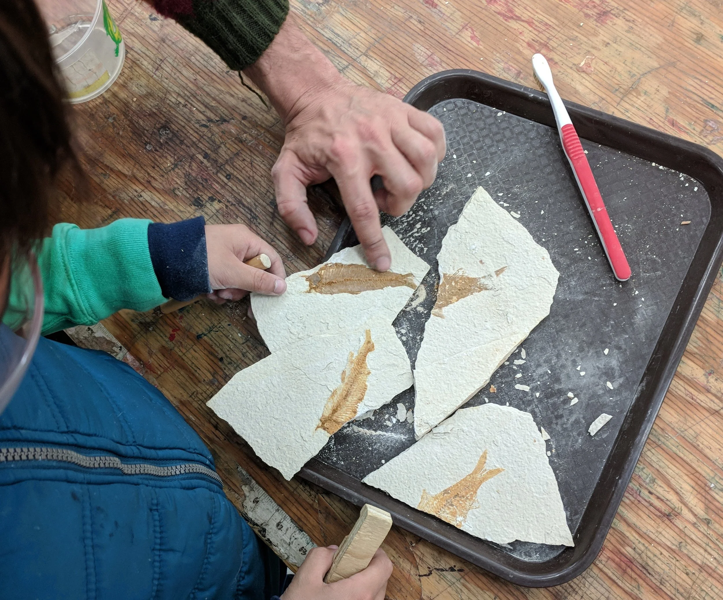 IMG_20180406_121358~2.jpg