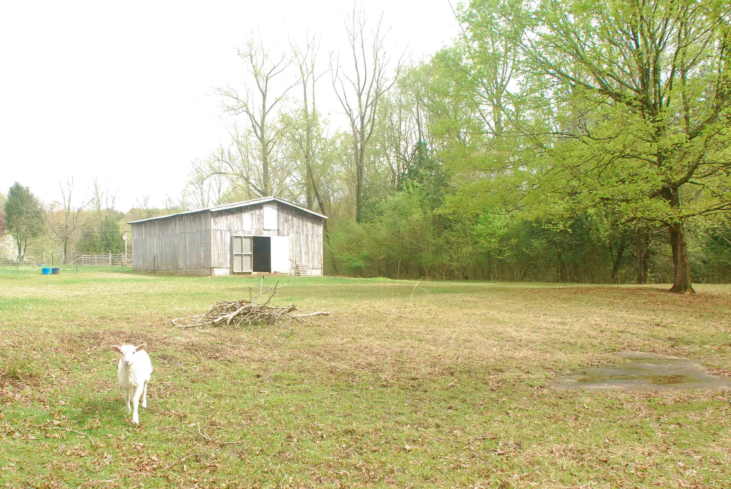 Fiber Farm (12 of 18).jpg