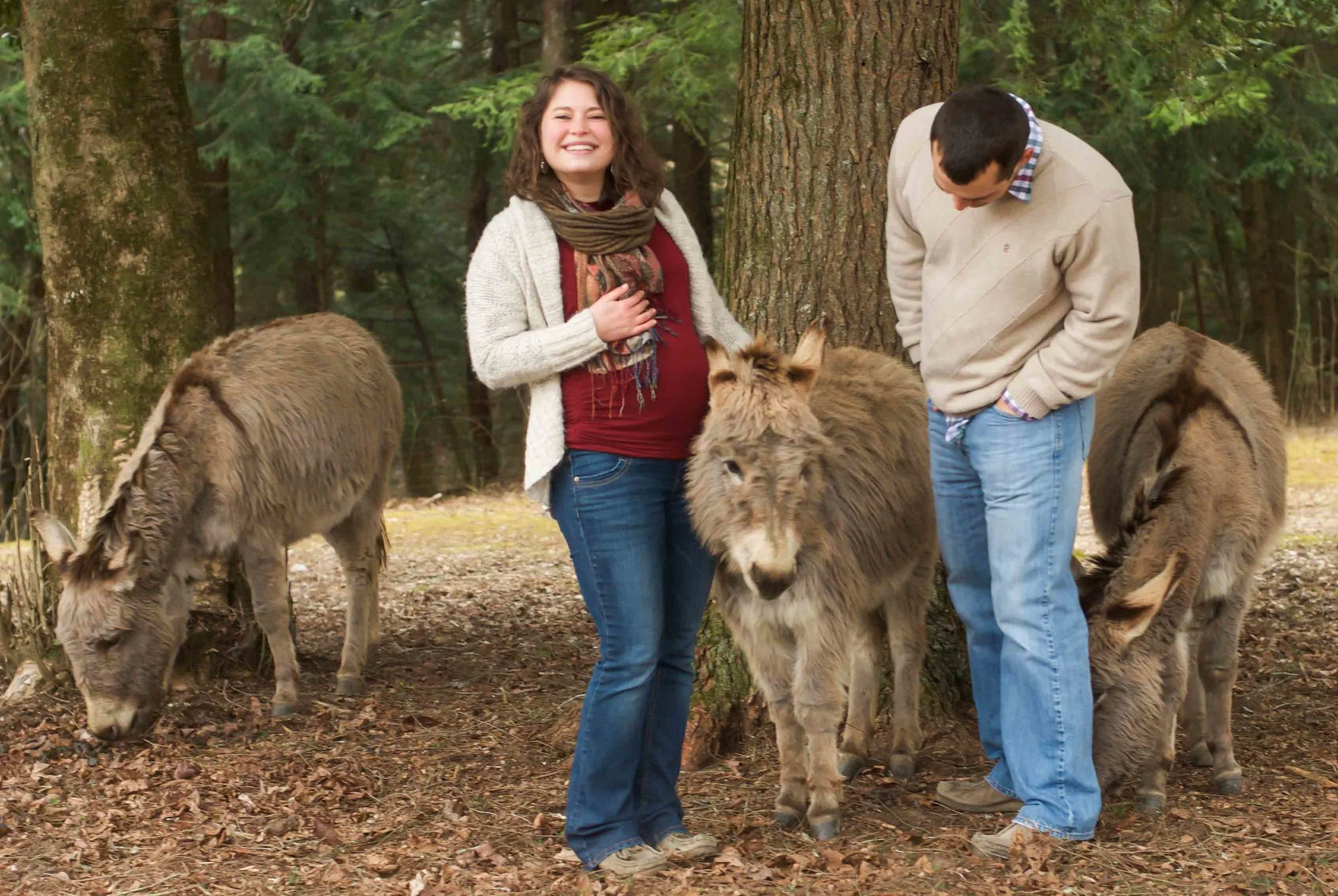 Maternity photo shoot outtake