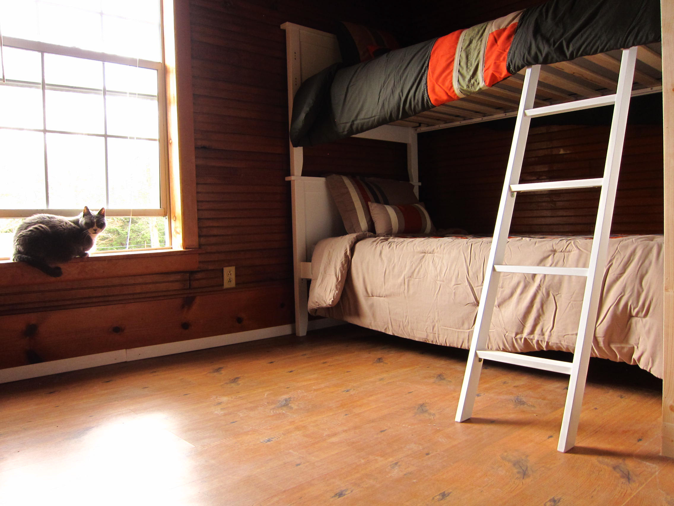 Bunkhouse Room Progress