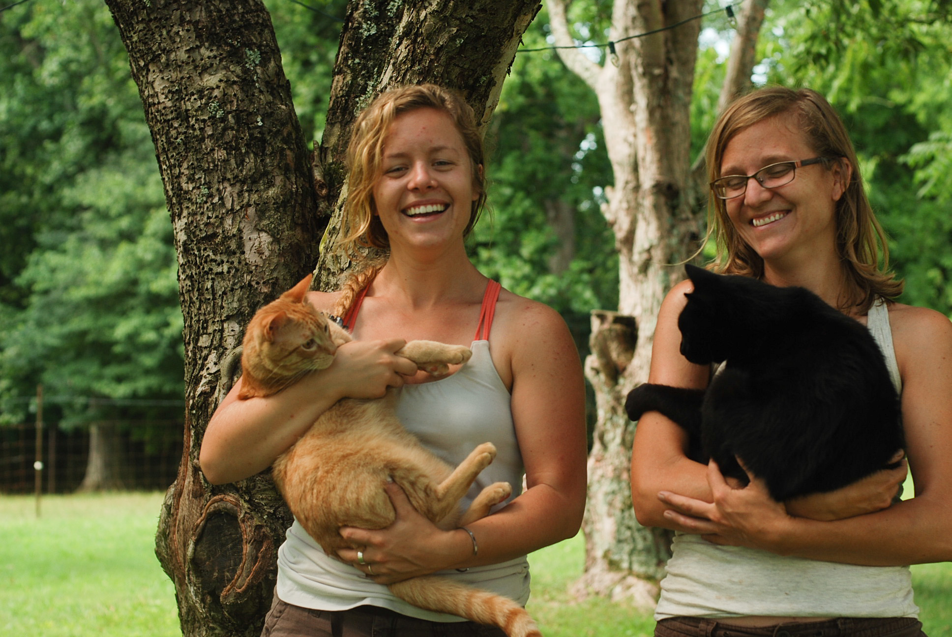 Crazy Cat Ladies Club, currently accepting new members