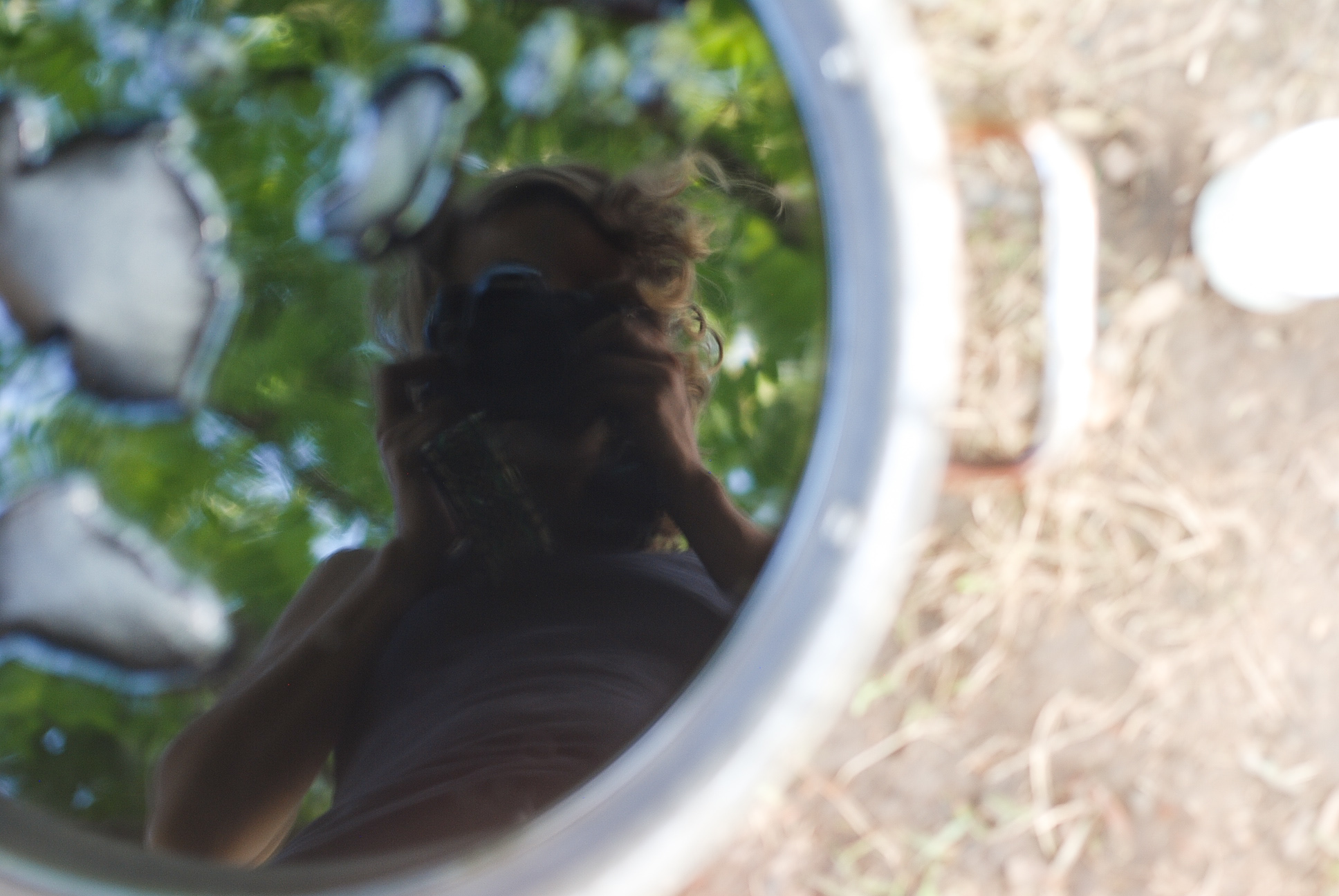 Dye Vat Reflections