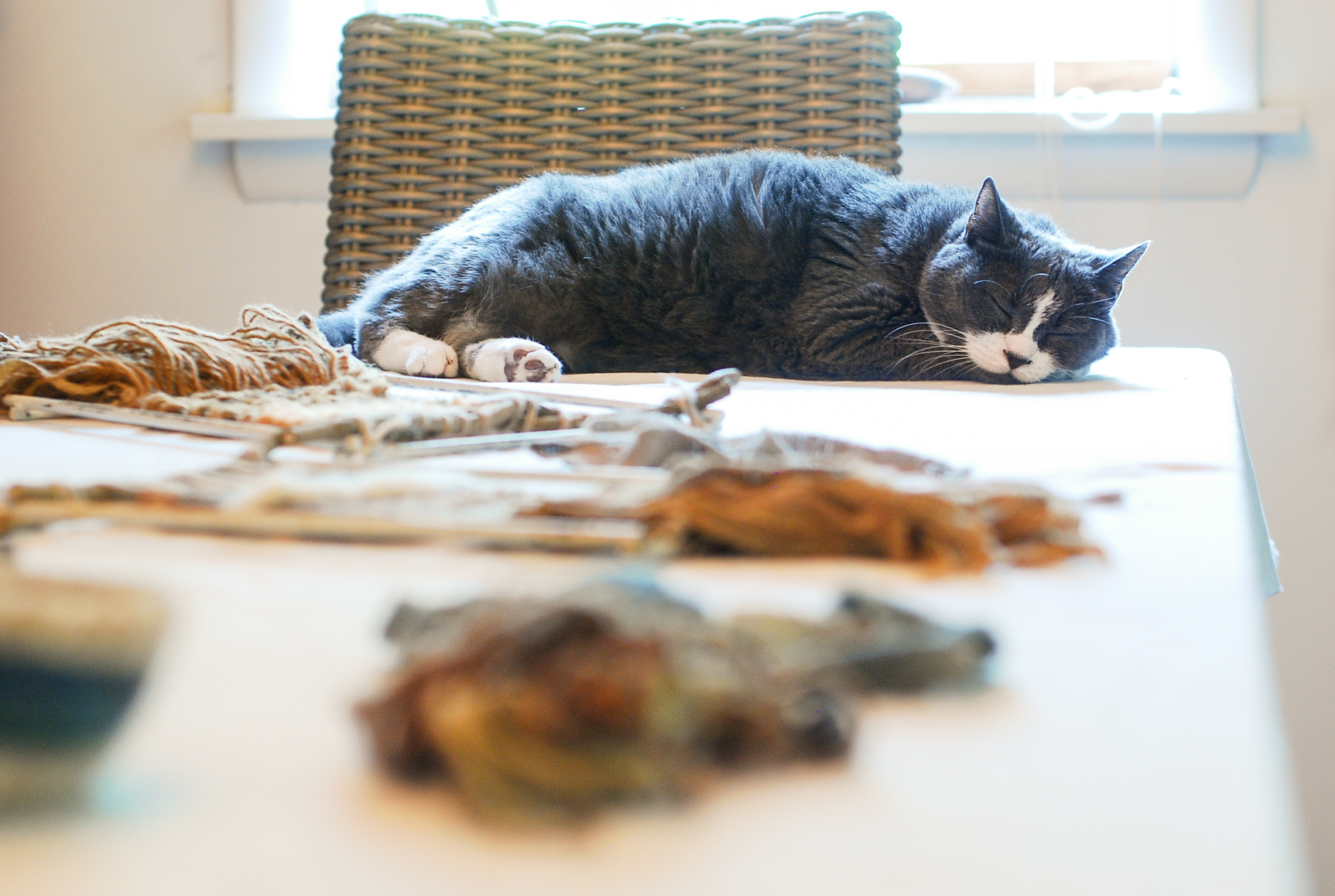 Intro to Weaving 8.12.17-12.jpg