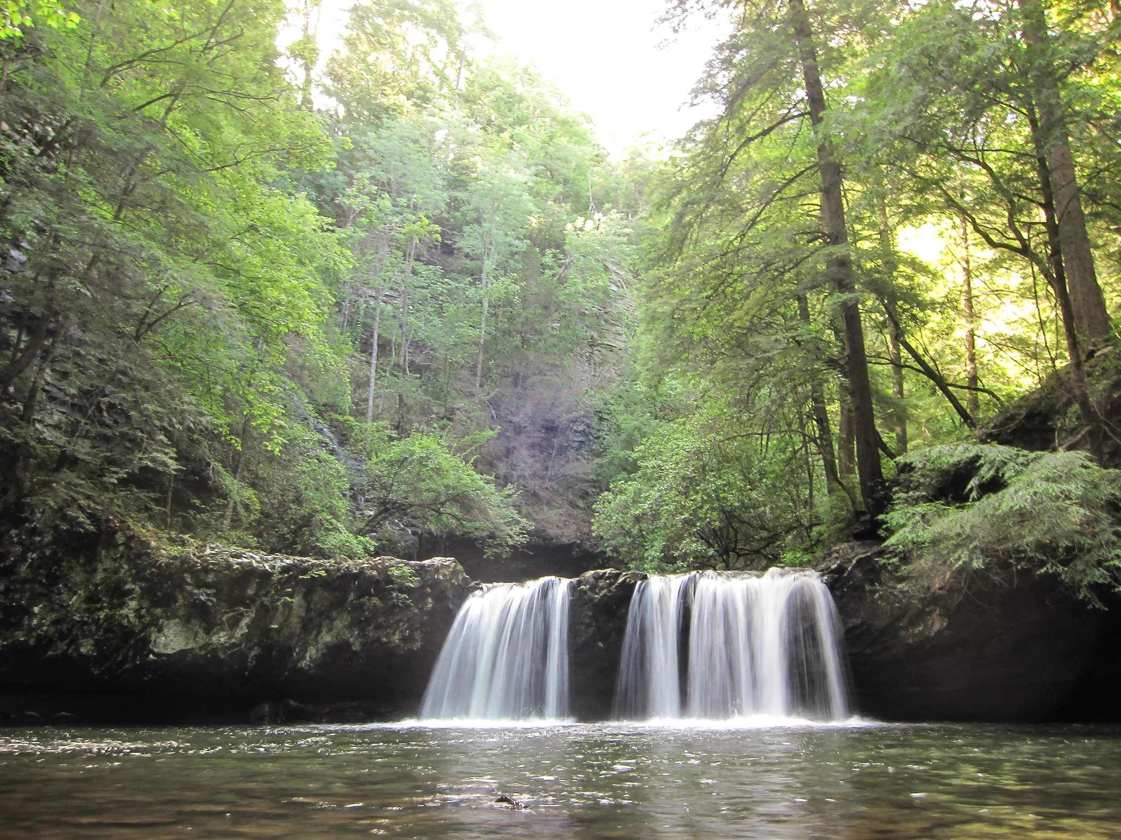 Sycamore Falls, Fiery Gizzard Creek