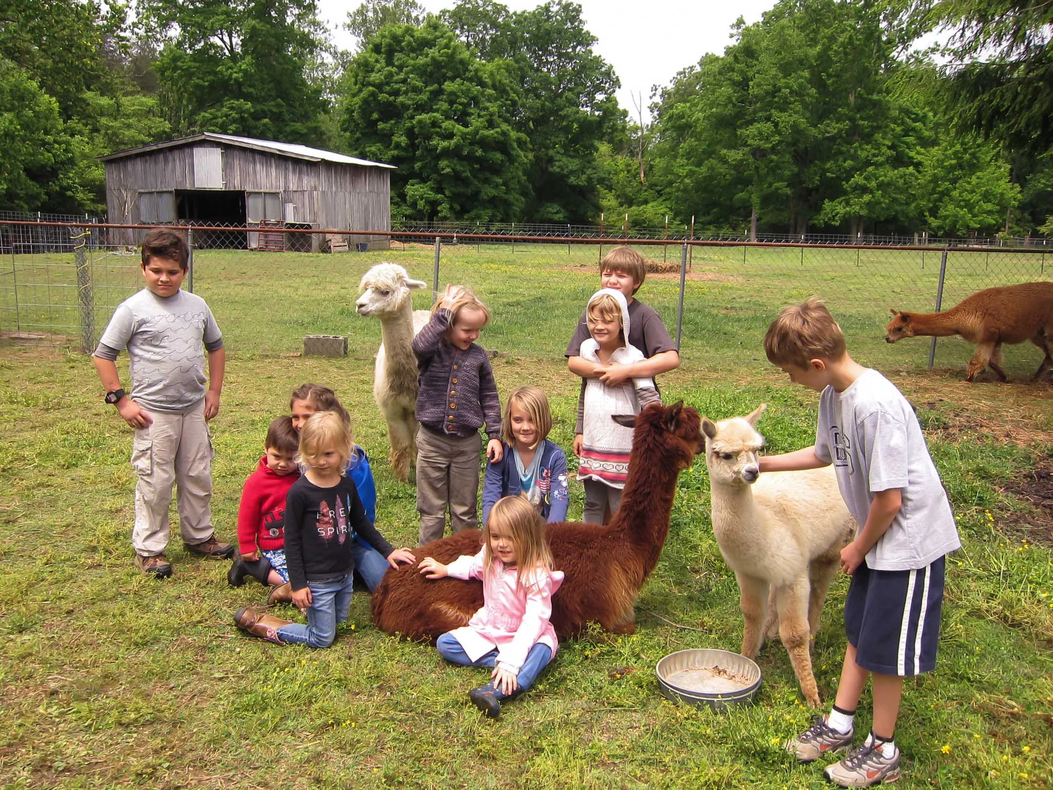 Nashville Waldorf | Home school 5.16
