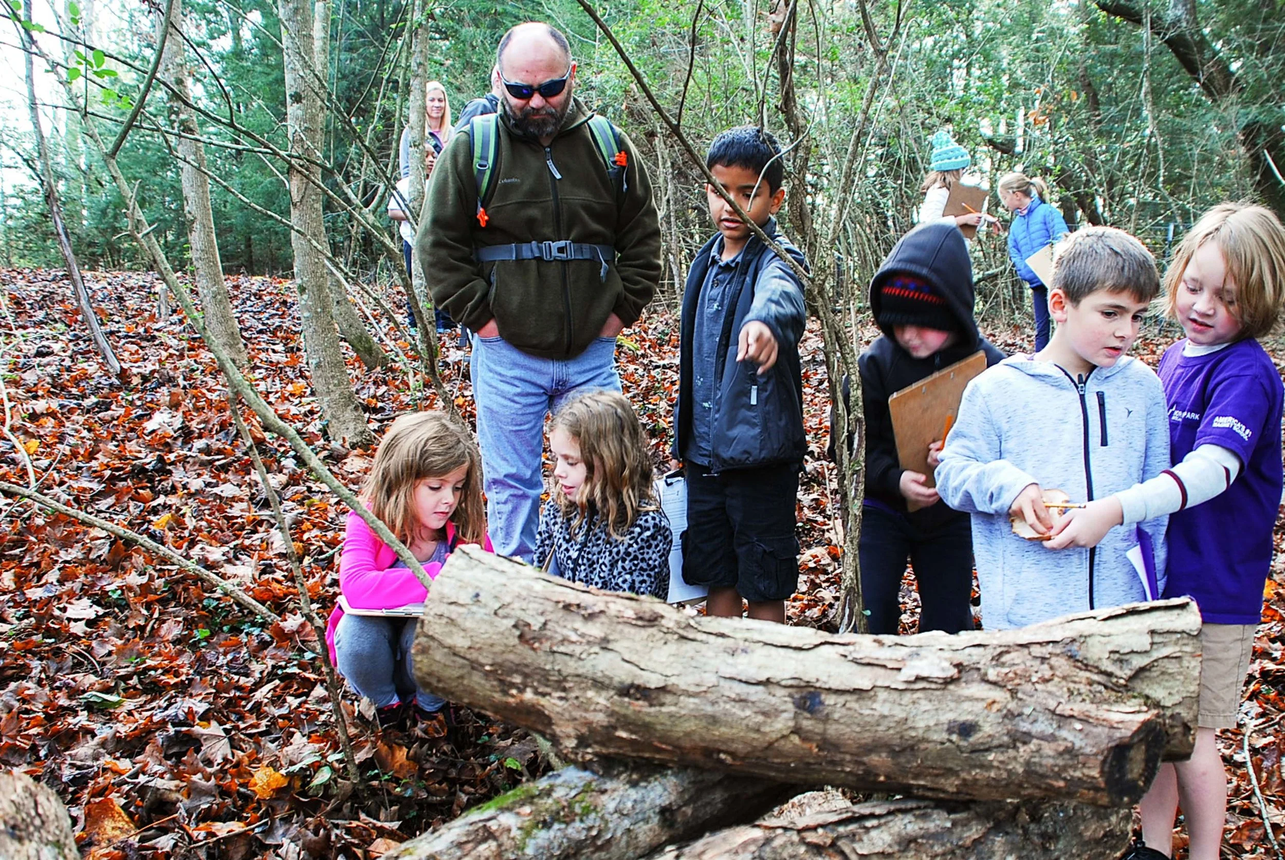 Inspecting the Shiitake Logs 11.17