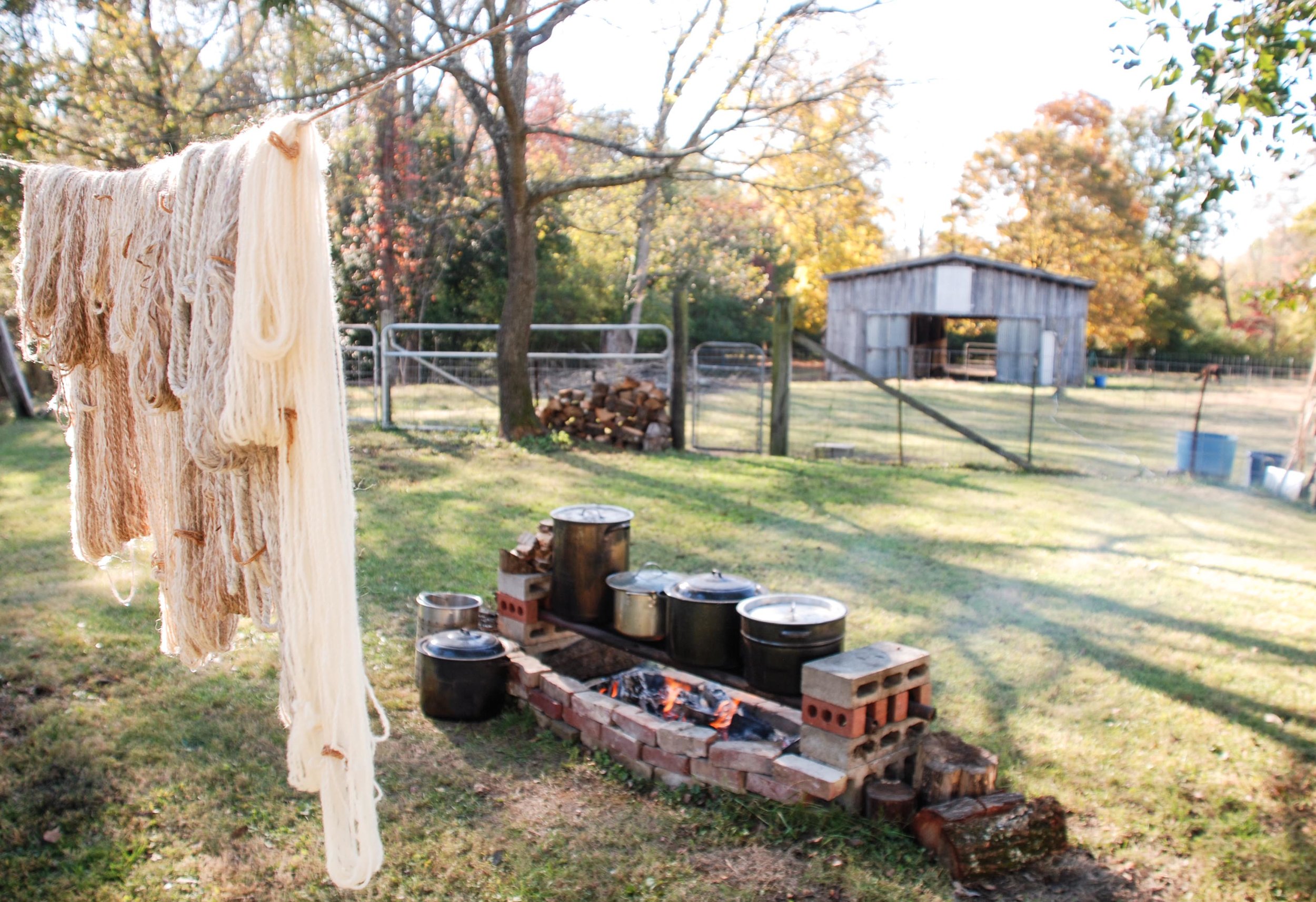 Dye Setup w yarn.jpg