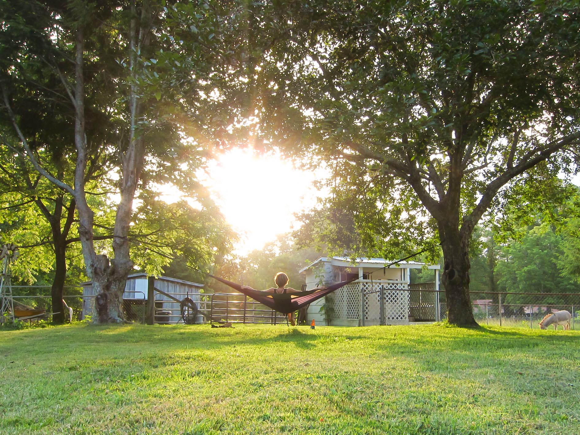 Hammock Sunset.jpg