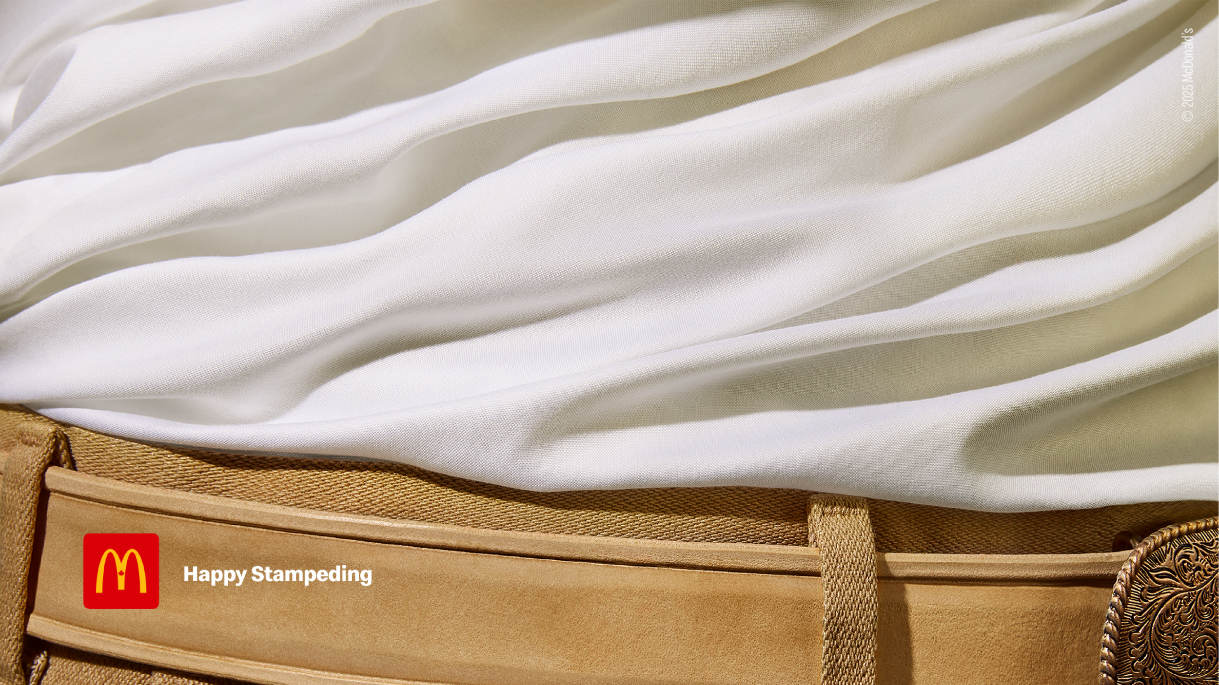 MCD_Press Release Images_V5_Size 1_1.png