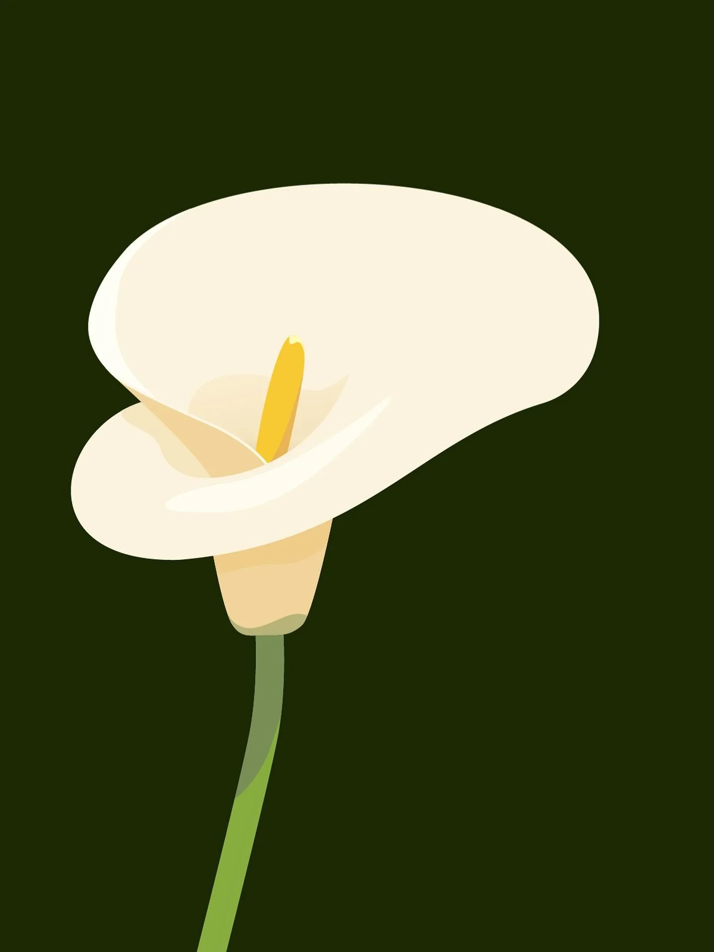 Bit of a different one for me but saw this beautiful lily and had to draw it :)

#minimalist #illustration #vancouverartist #vancouver #flowers