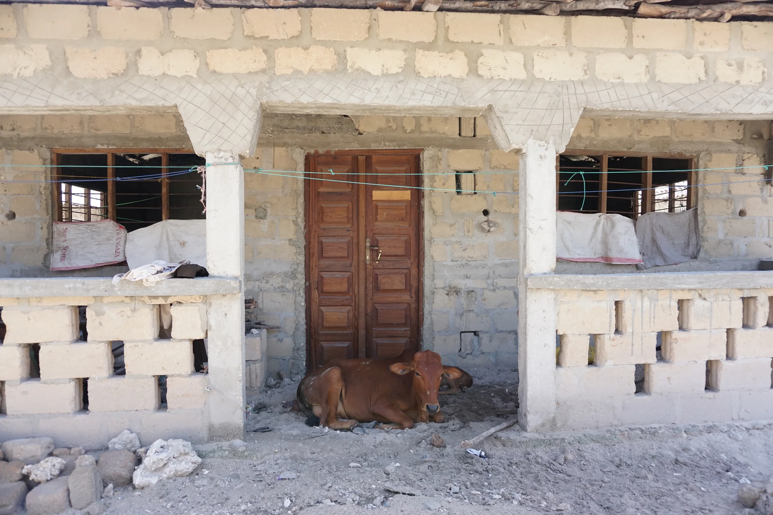 volunteer-tanzania-24.JPG