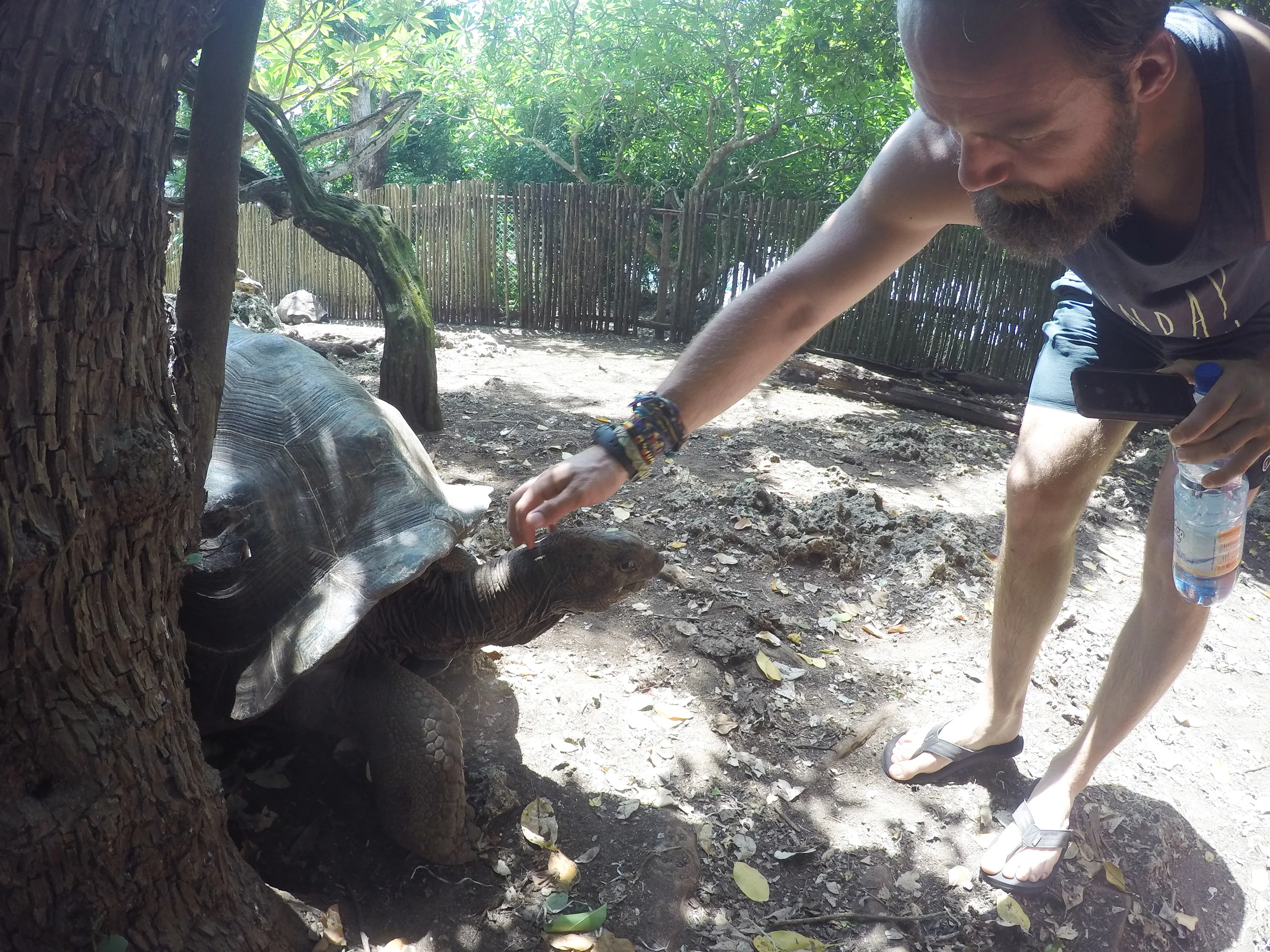 volunteer-tanzania-59.JPG