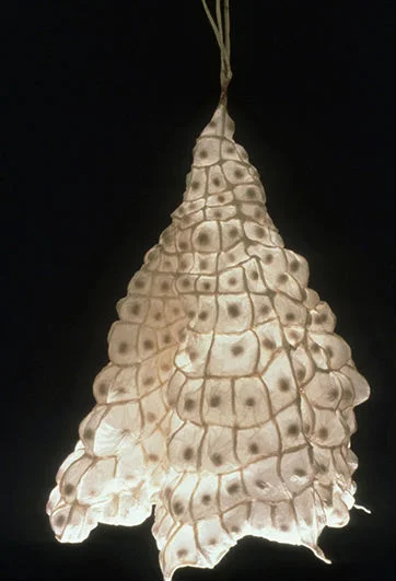 Net , 1998, paper, 48 x 42 x 40 in.