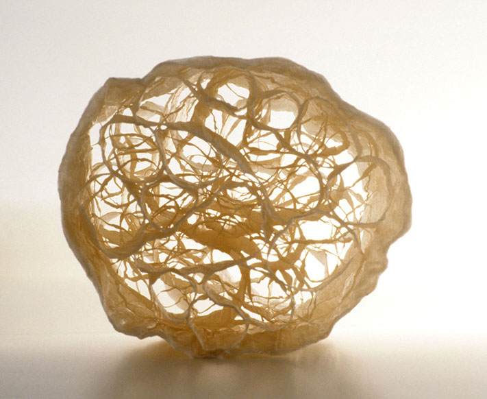 Trunk Thin , 2001, paper, 9.5 x 7 x 7 in.