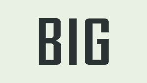 BIG logo.jpg