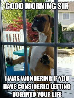 Like this, only less adorable.