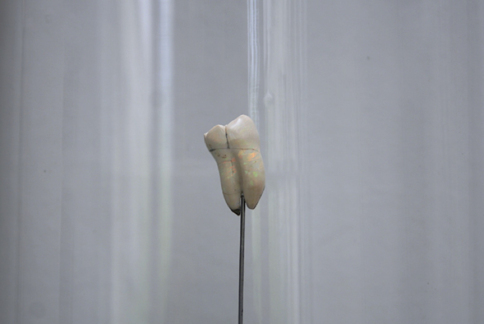 Afterglow Opale blanche 2007 25 x 12 x 10 mm Courtesy de l’artiste