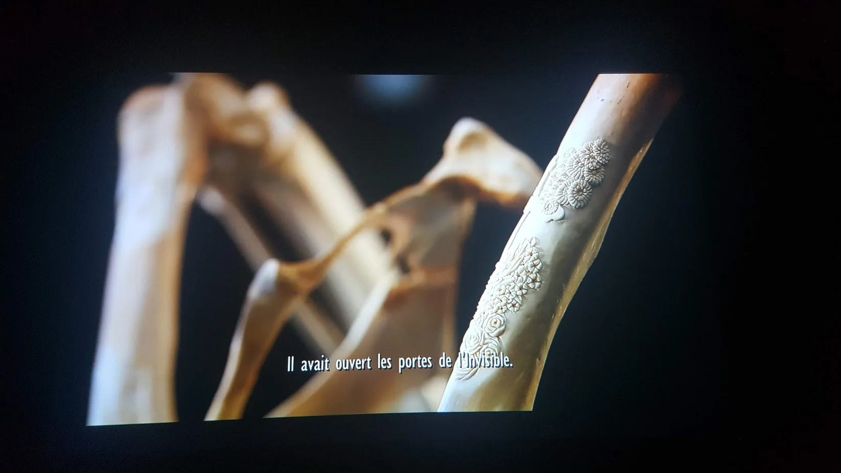 Extrait film.jpg