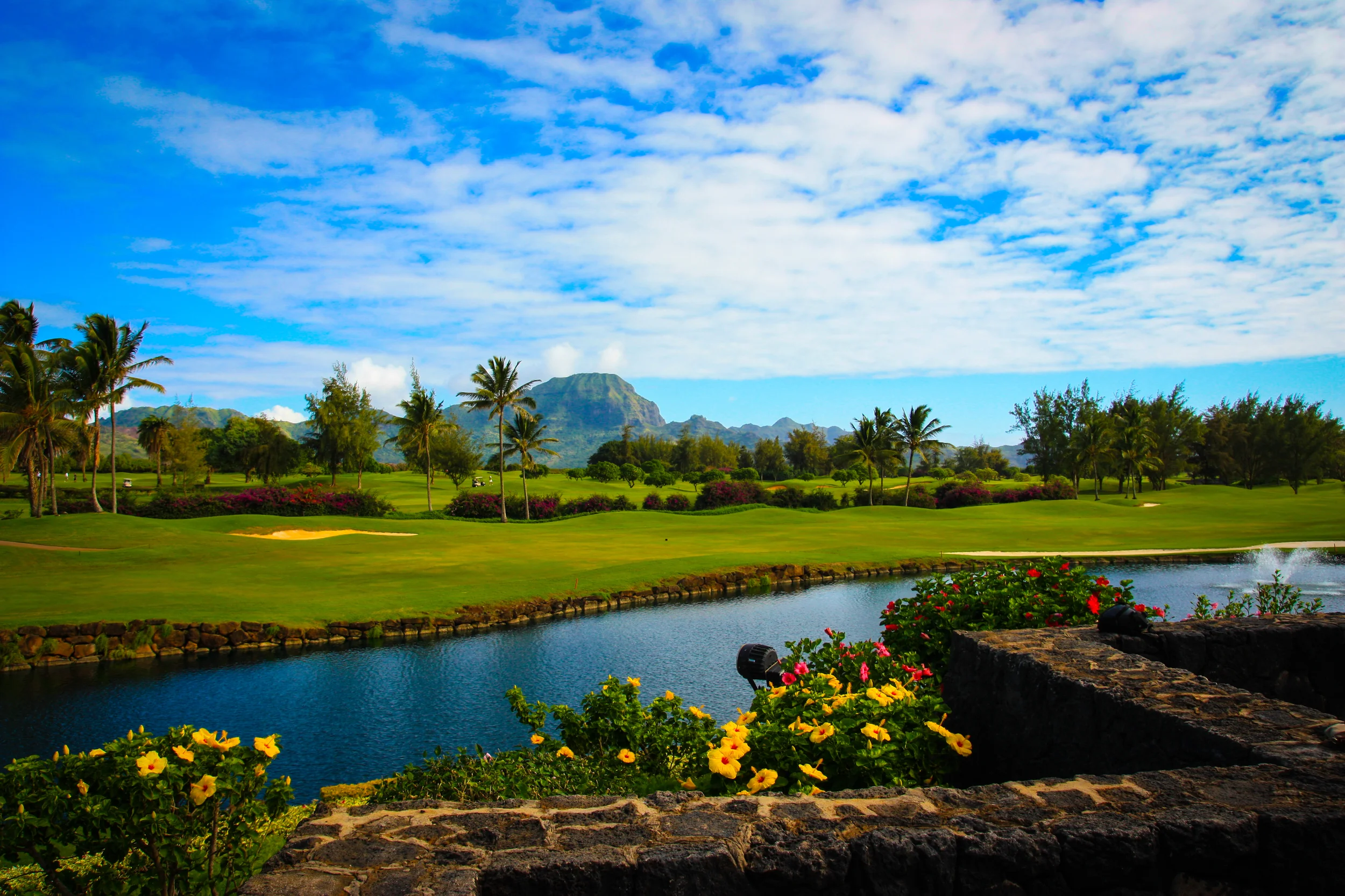 2013Hawaii-12.jpg