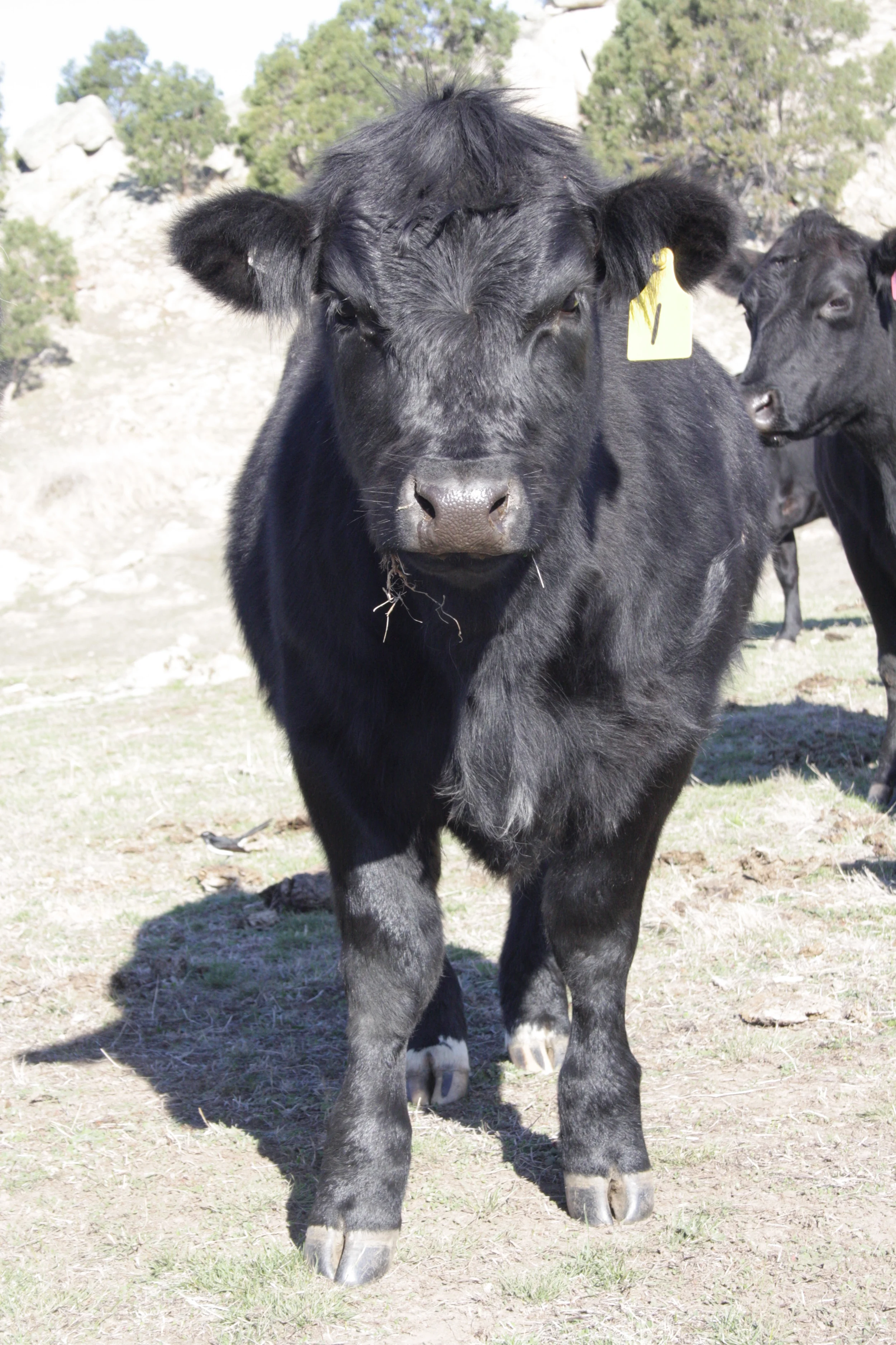 Perhaps we should all wear sweaters with our names across the front ... or name tags in our ears ...