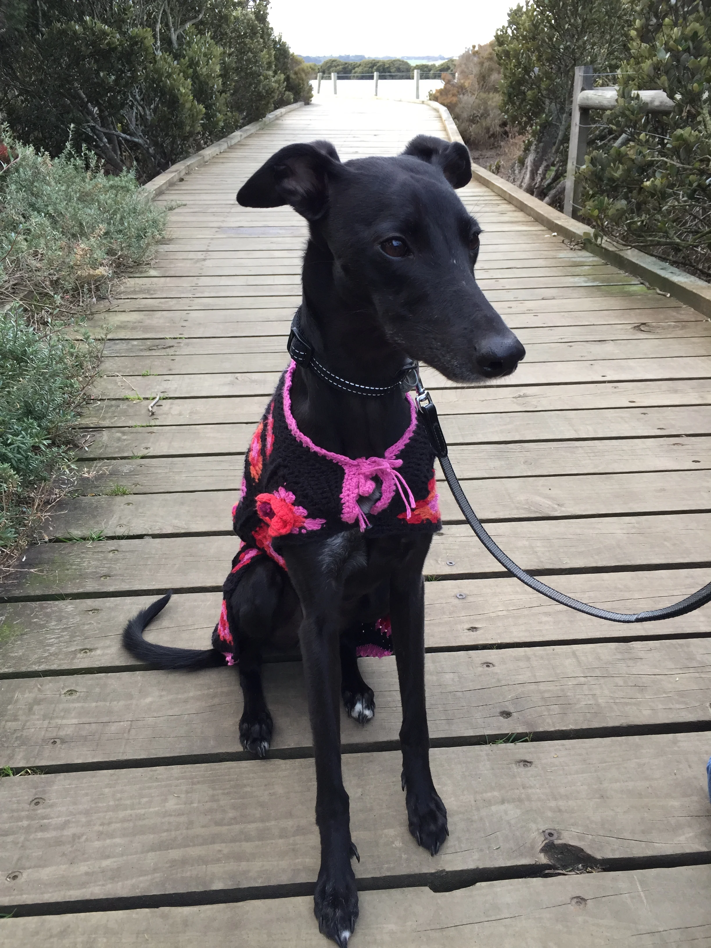 Boardwalk fashion (not to be confused with catwalk fashion).