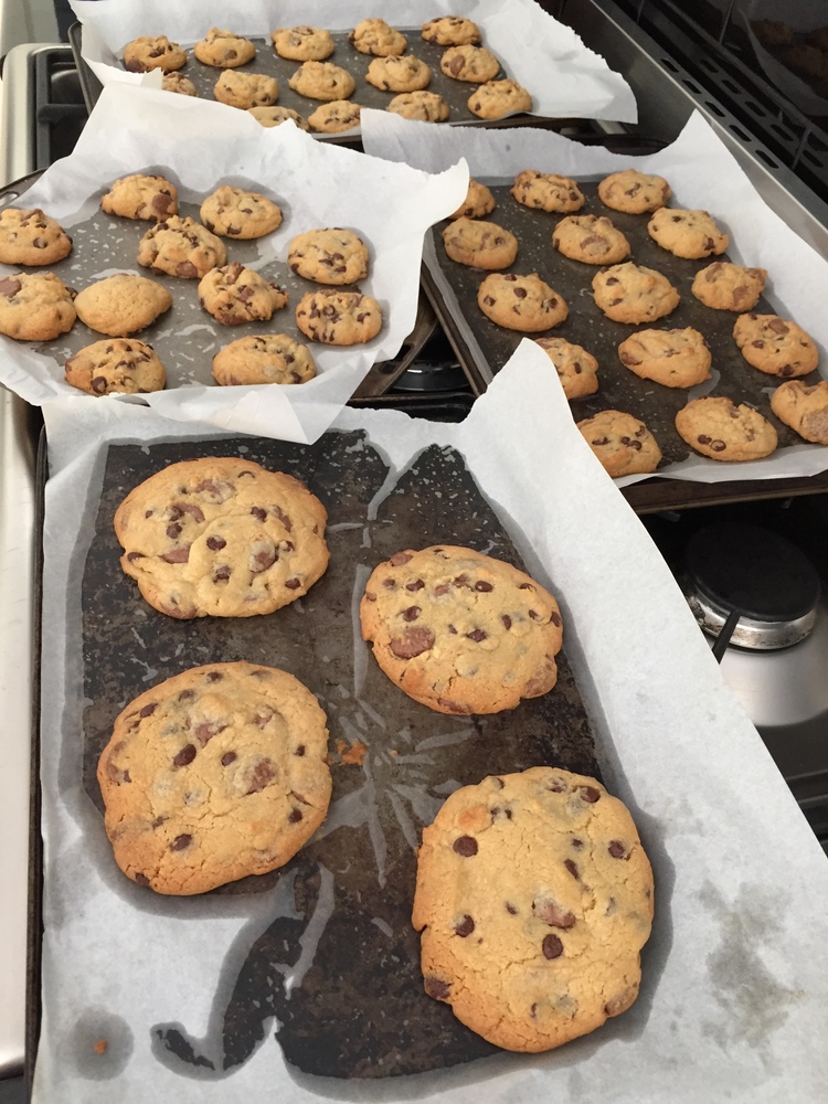  Choc-chip Bickies &nbsp;  Makes approximately 70 small bickies or one large bickie, suitable to feed an elephant, a woolly mammoth or a hungry teenager.     &nbsp; Ingredients   250g butter - softened at room temperature. (Unless you live in an igl