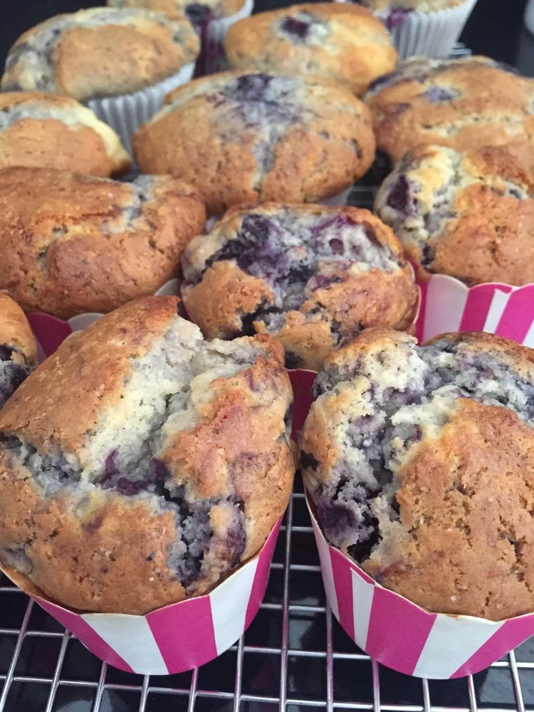 Blueberry Muffins