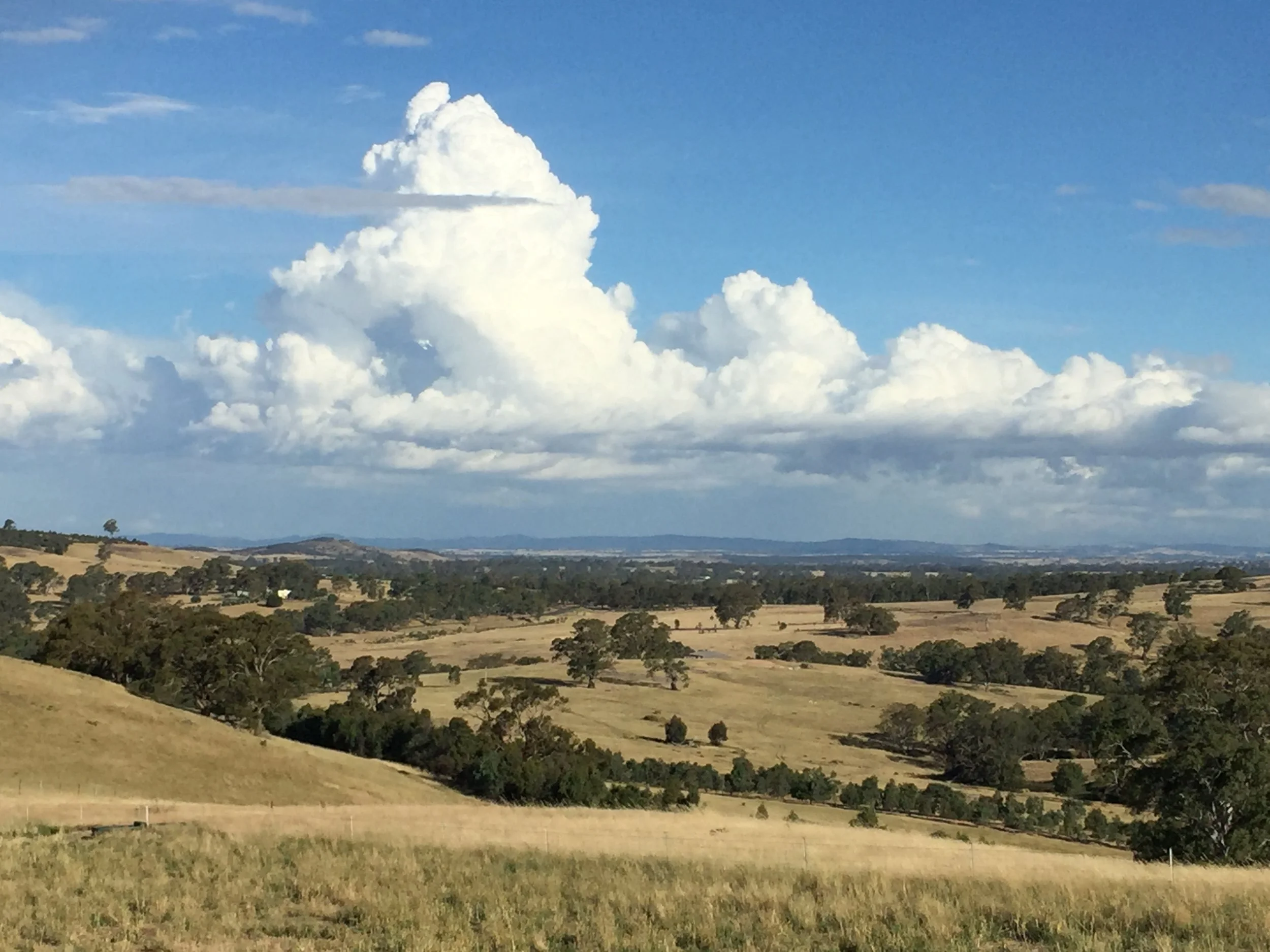 The view from my desk