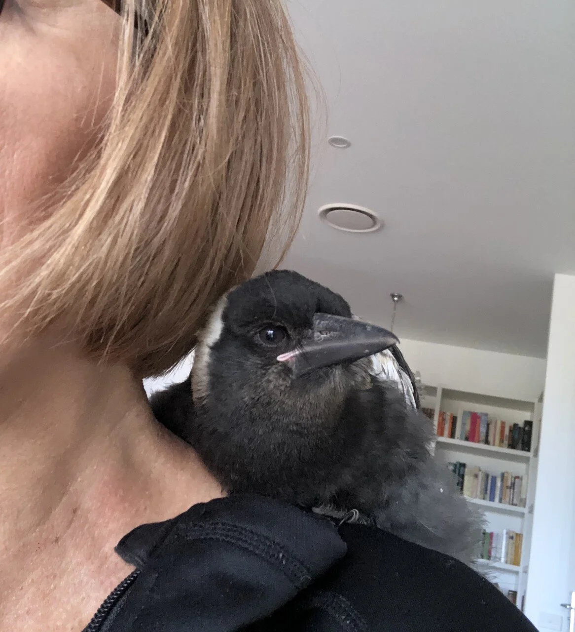 Baby Otto