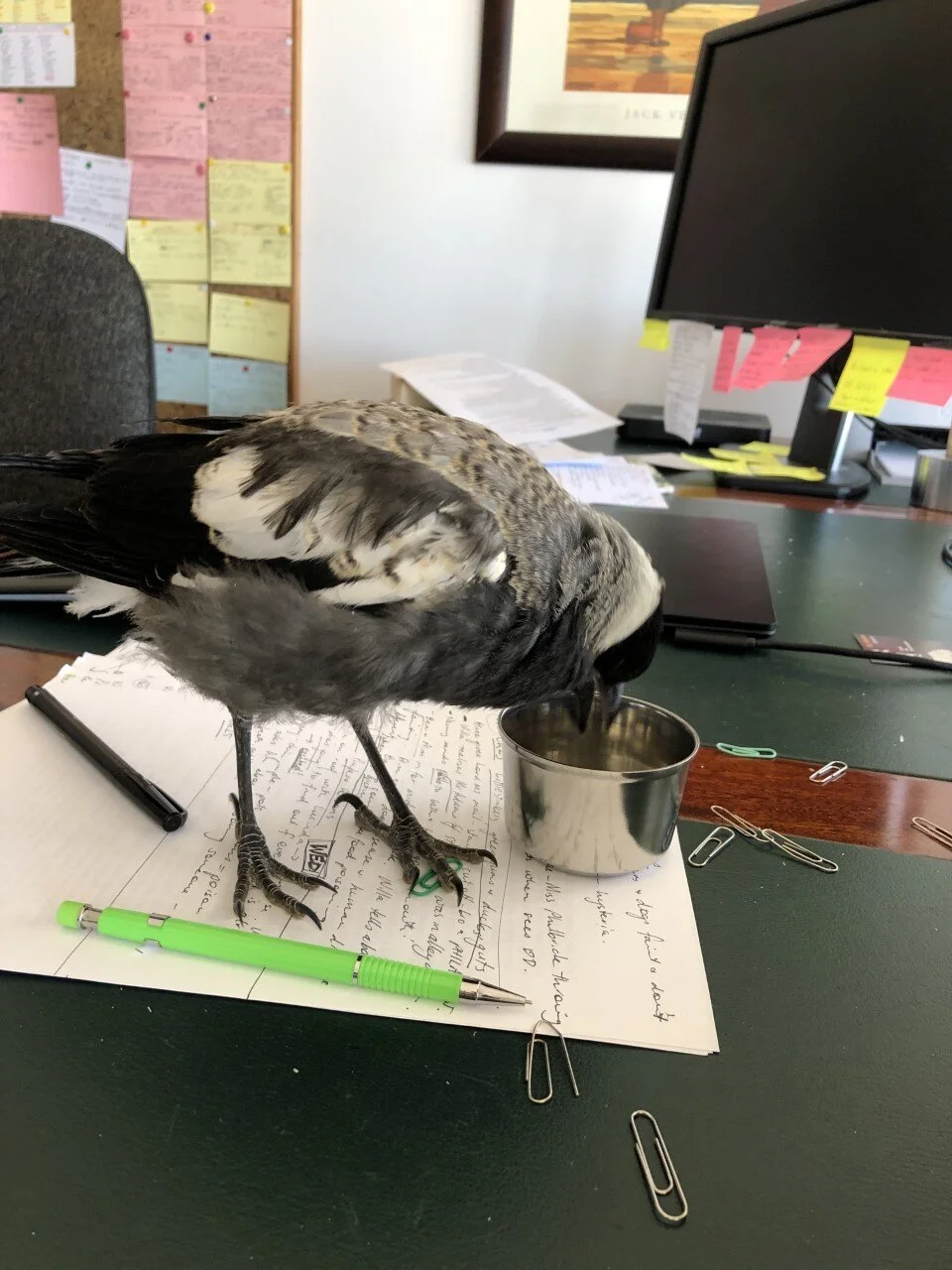 Desk Messing Otto