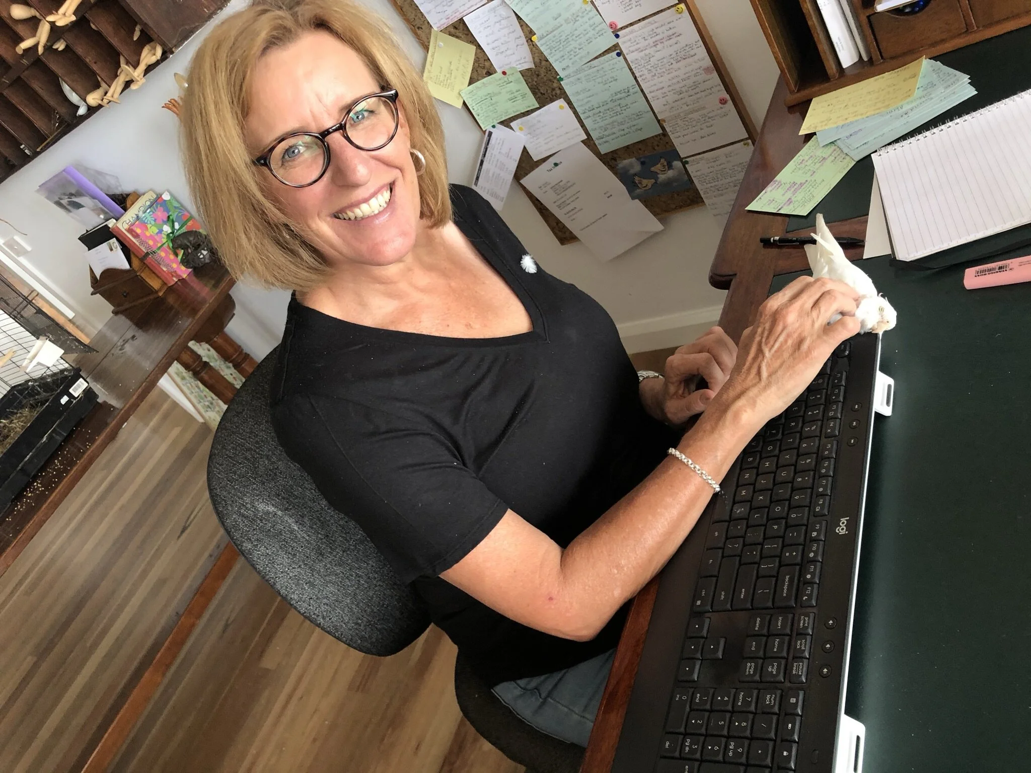 A feathered distraction