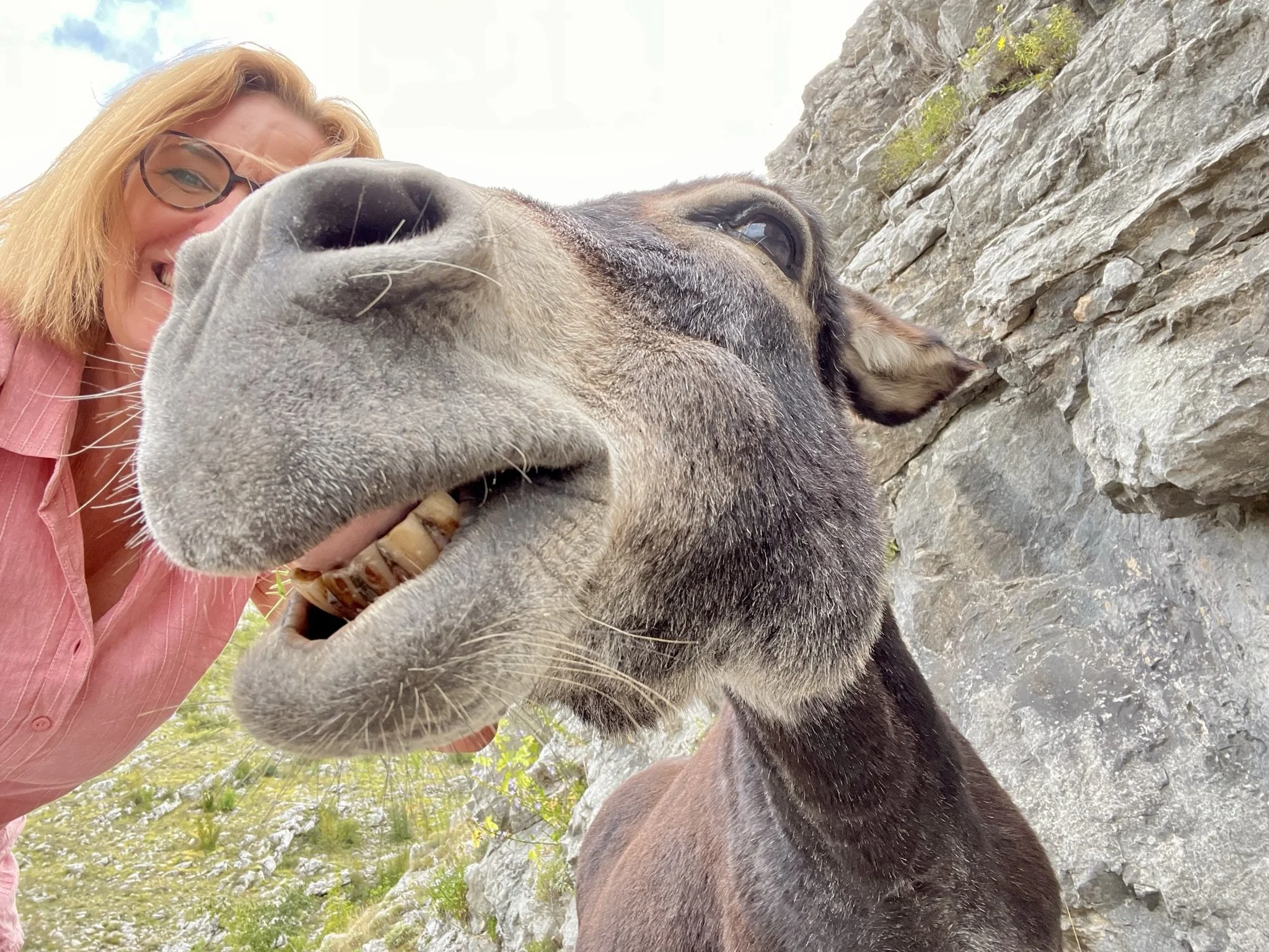 Selfie with a friendly donkey.